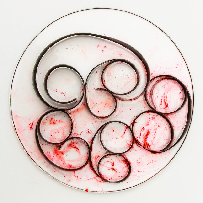   Title: Traces #23 Dimensions: 9” diameter, 1/3” depth Medium: Photographic film, resin, India ink, glass etching medium  