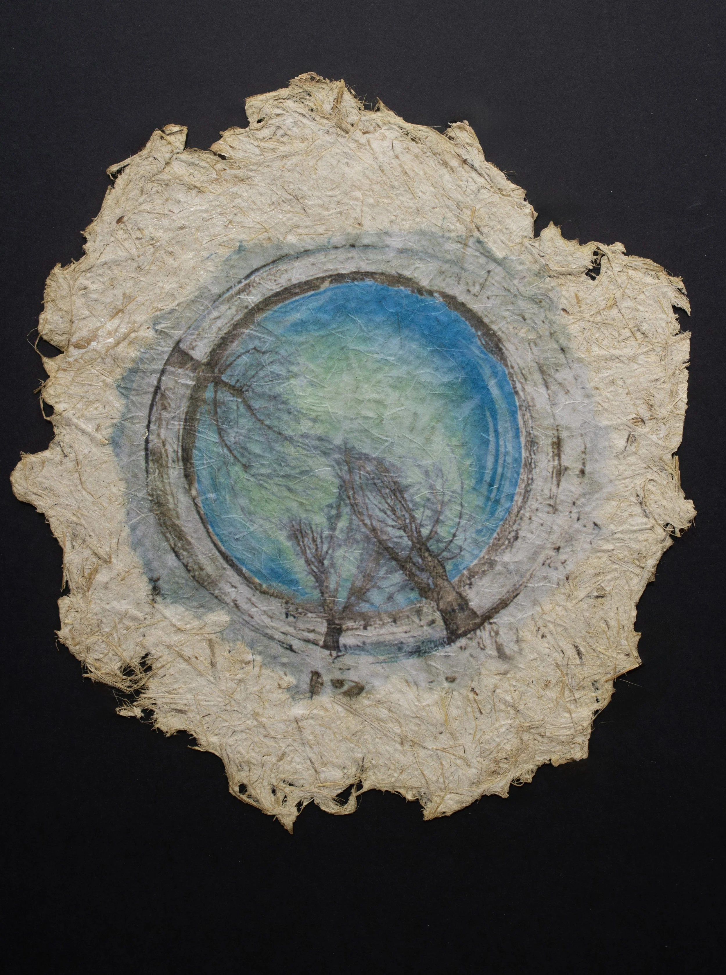 Cultivated #4 — 10 1/2'' Diameter