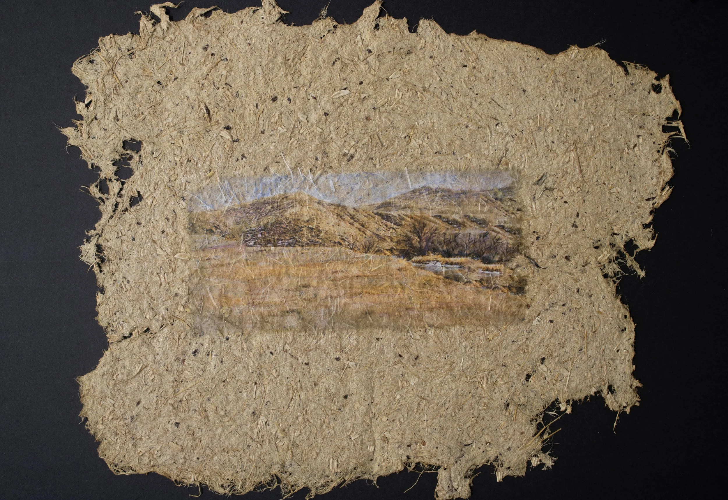 Cultivated #6 — 14'' X 11''