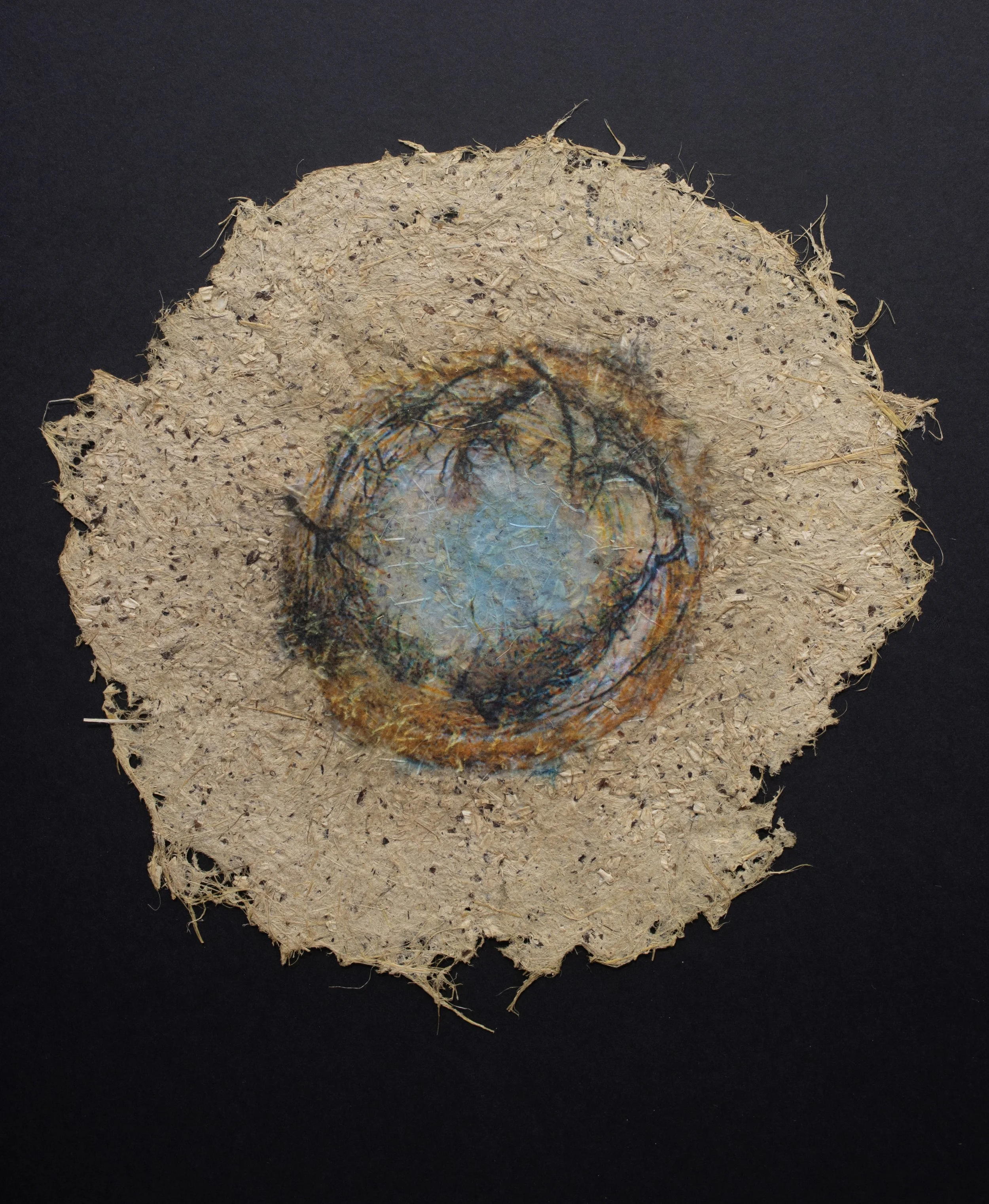 Cultivated #7 — 10'' Diameter