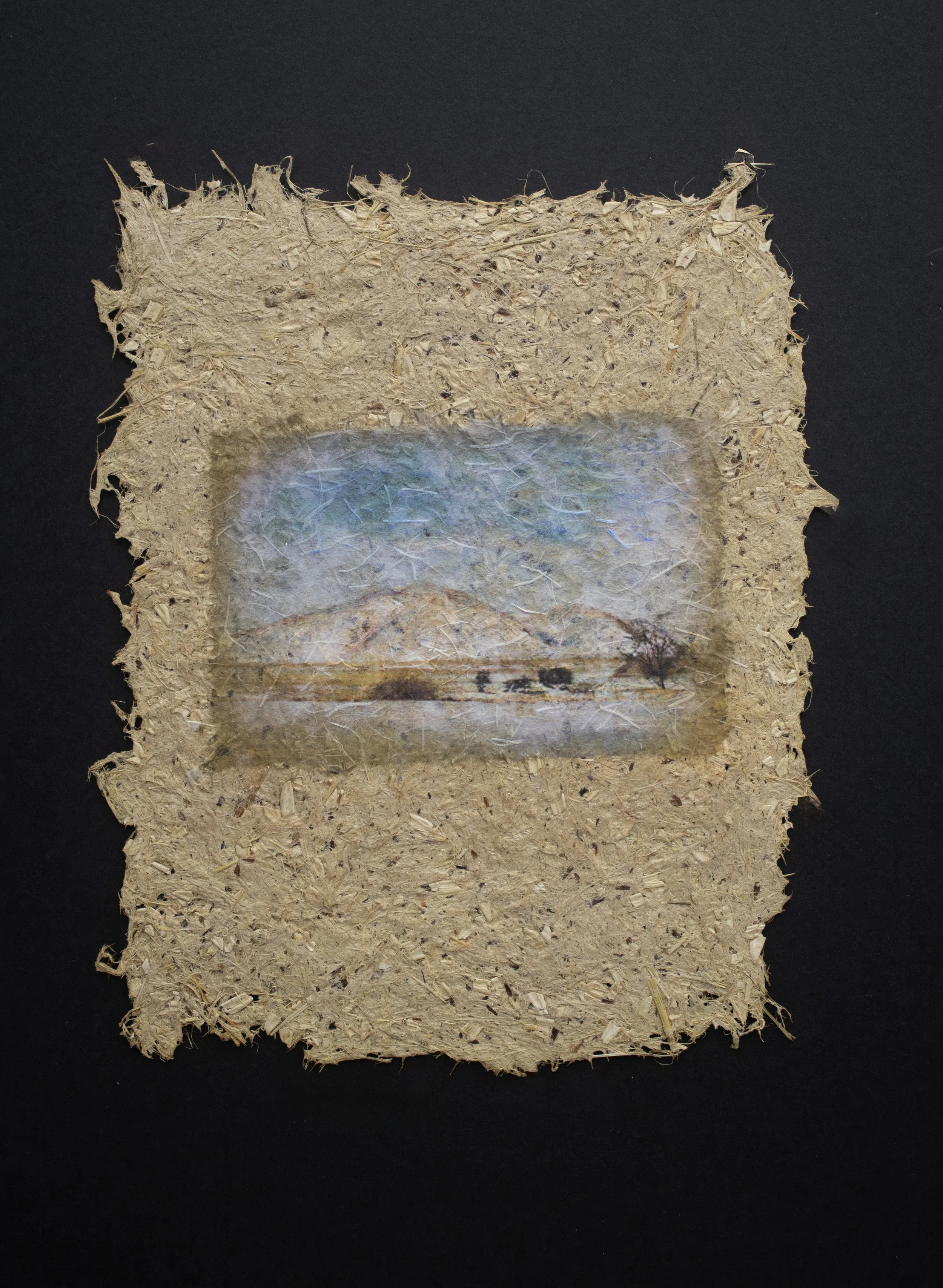 Cultivated #8 — 8'' X 10''