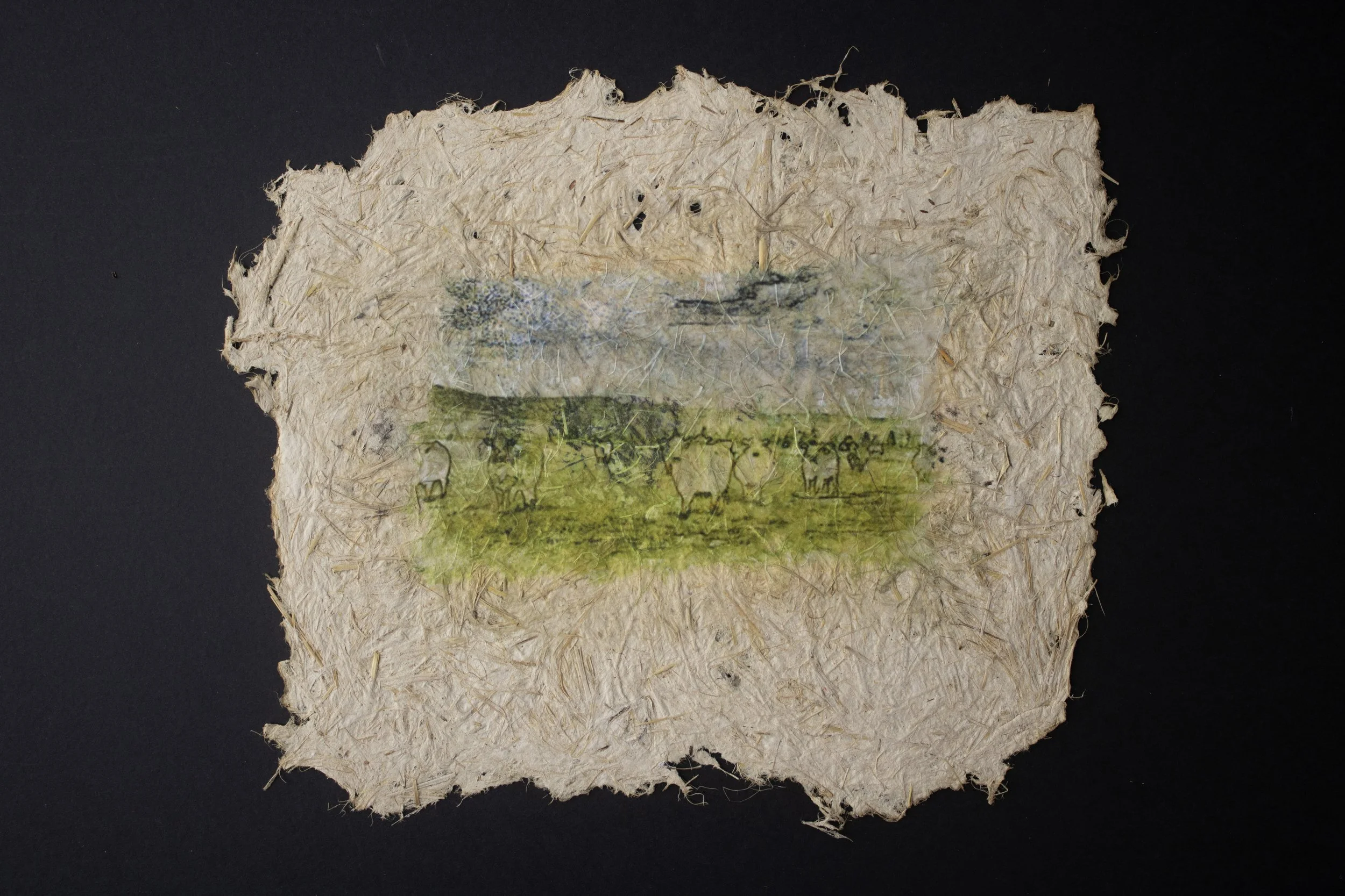 Cultivated #10 — 12'' X 10''