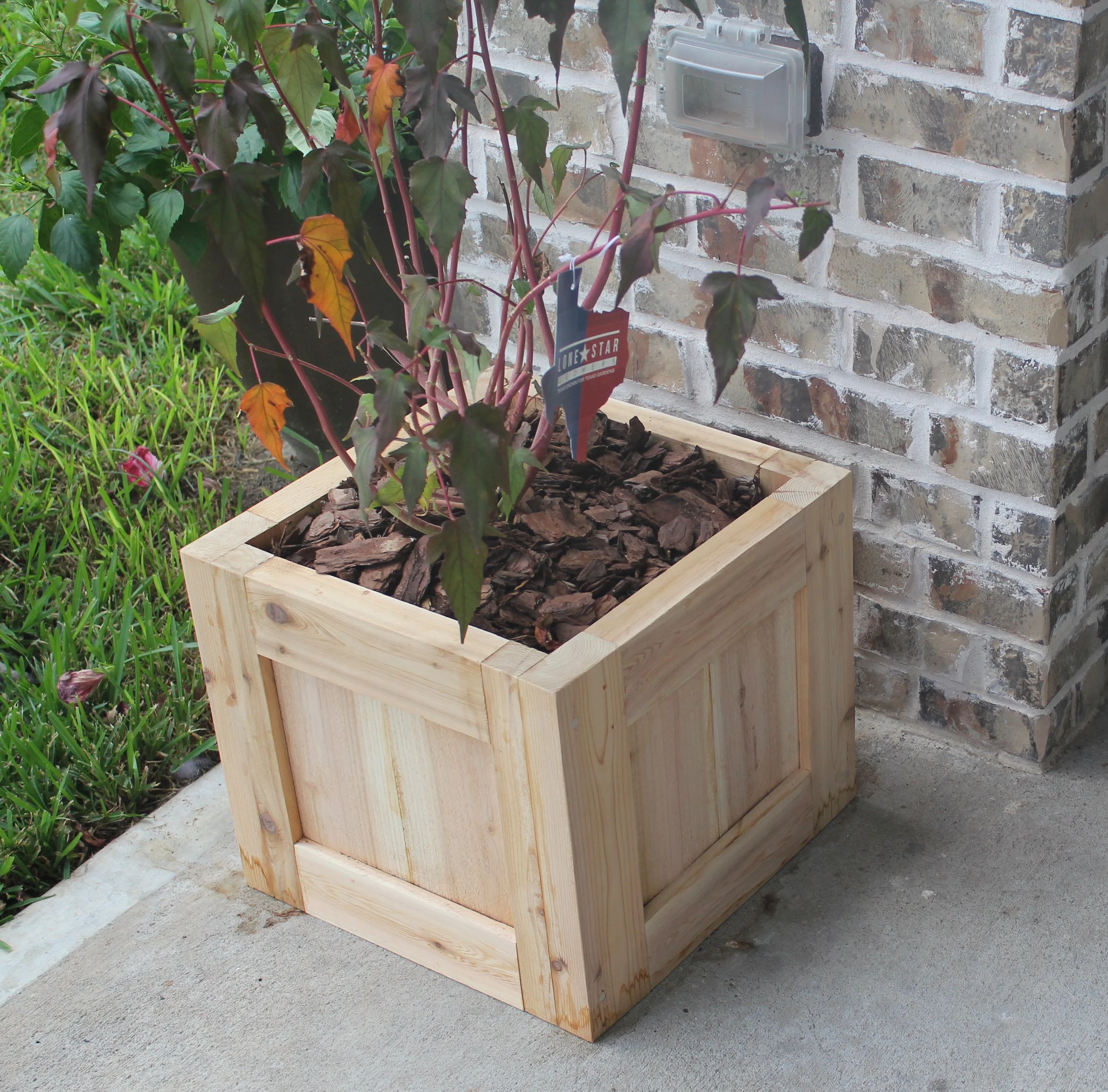 Cedar Planter