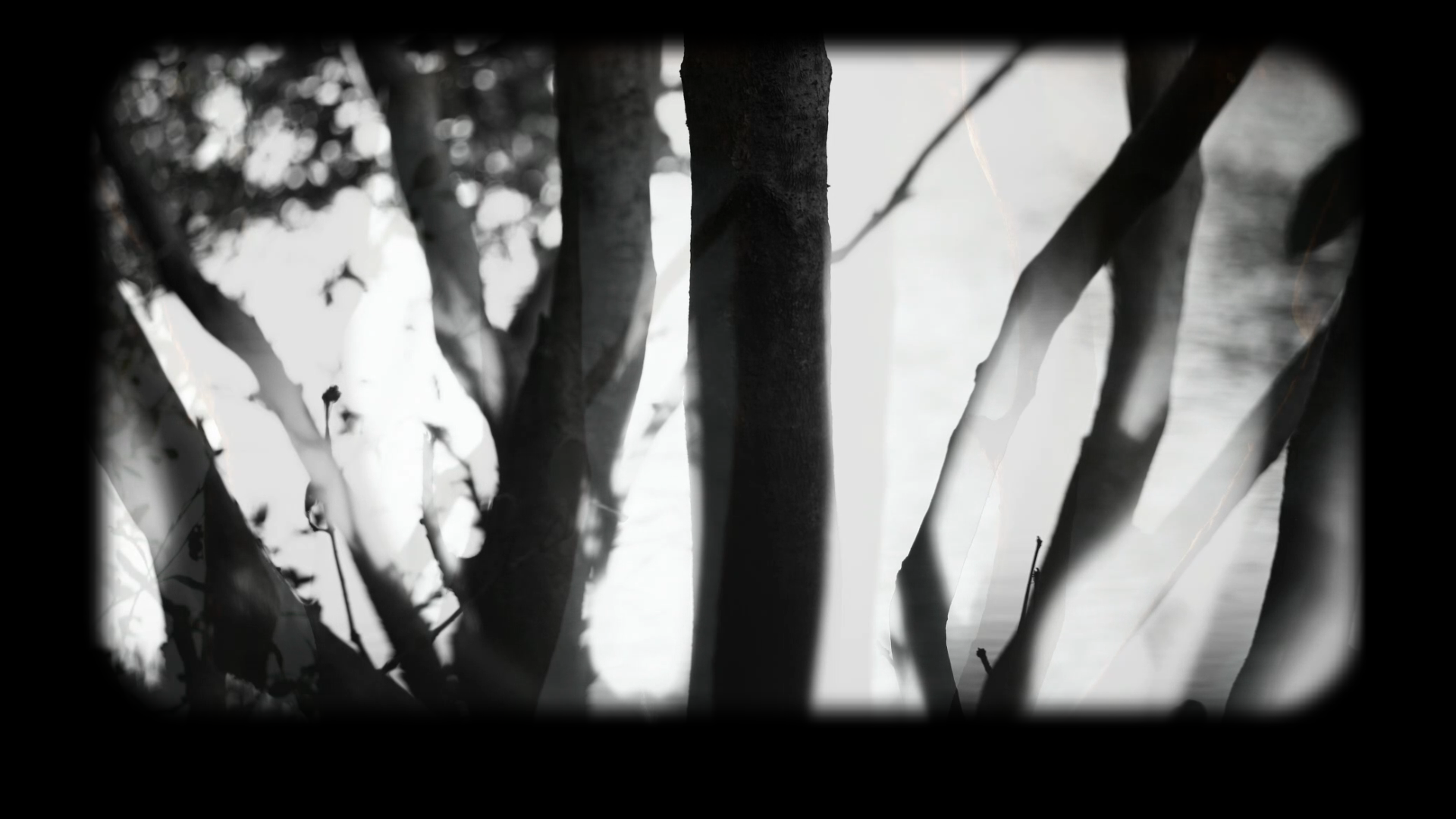 When we decided to add pictures to poetry