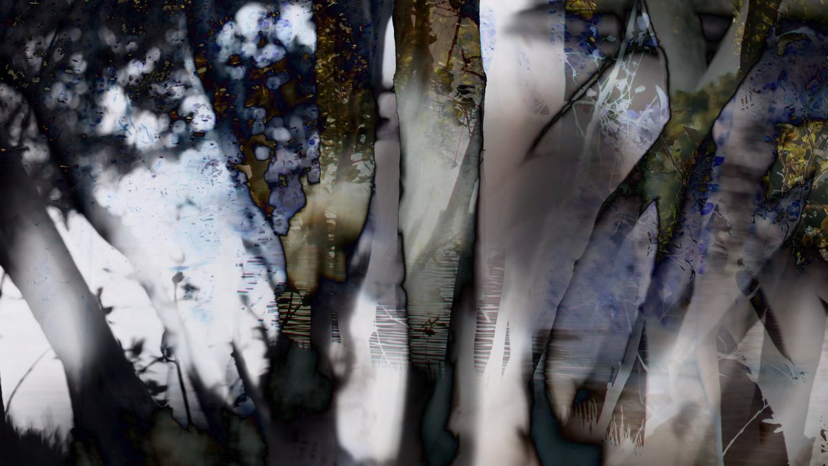 When we decided to add pictures to&nbsp;poetry