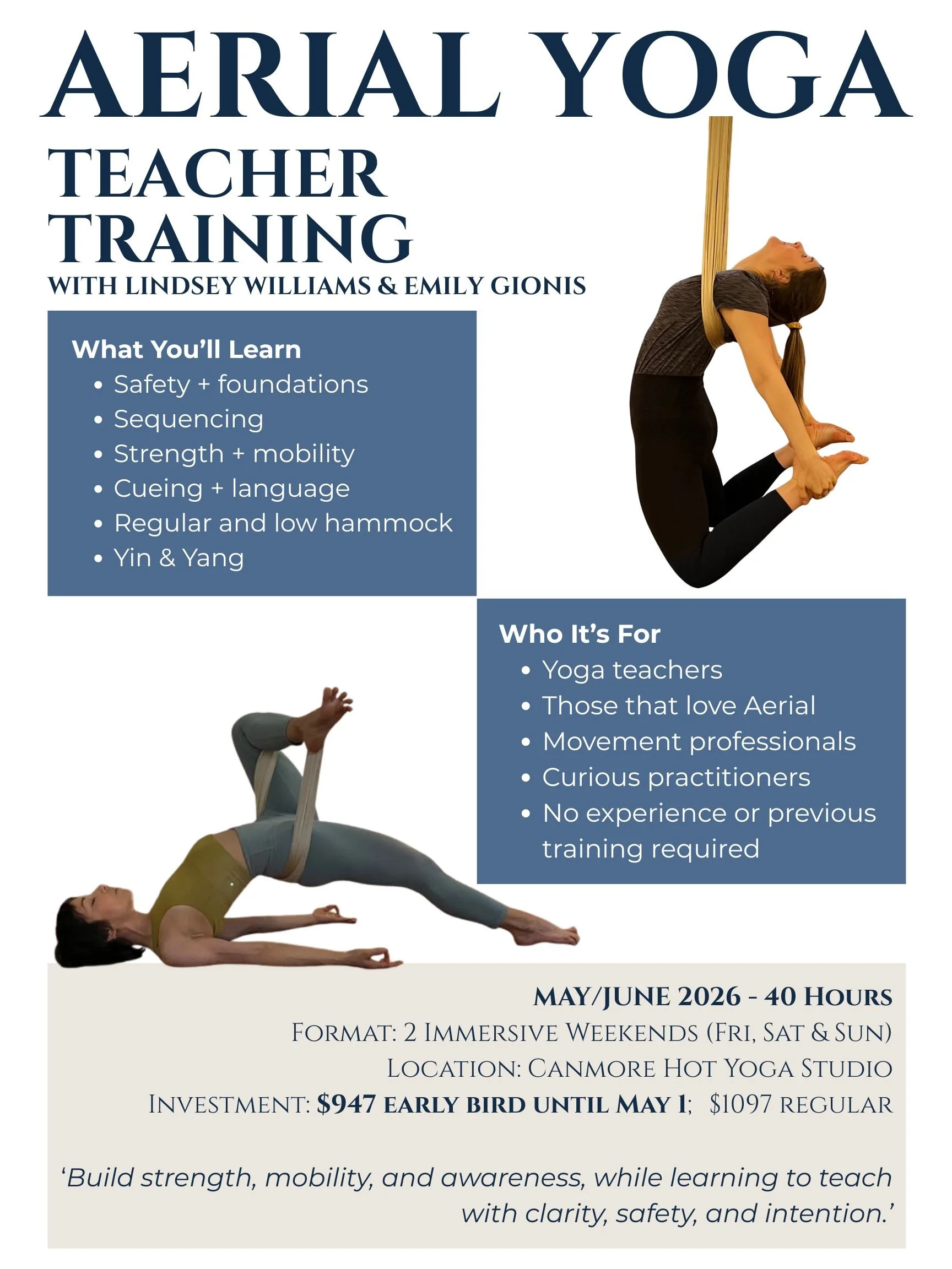 Aerial Yoga Teacher Training