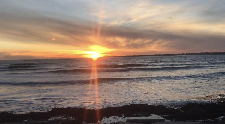 The Antidote to Loneliness 