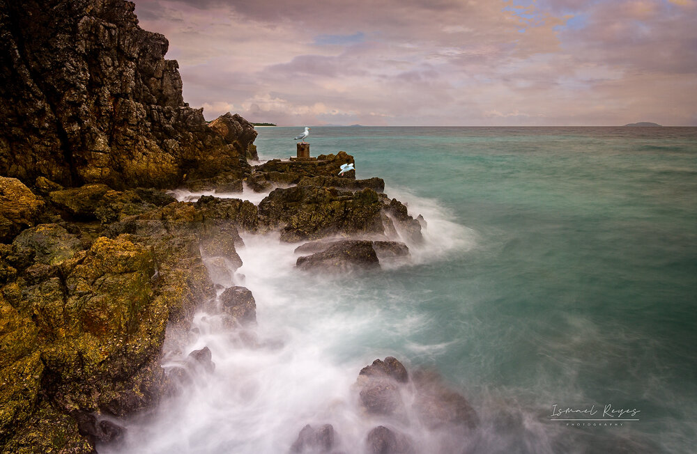 Rocky coastline with waves crashing against the rocks, seagulls perched on rocks, cloudy sky, distant land on horizon.