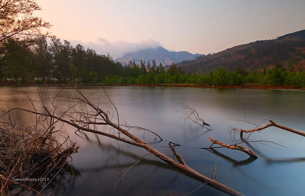 A calm lake with fallen tree branches in the water, surrounded by green trees and mountains in the distance under a cloudy sky.