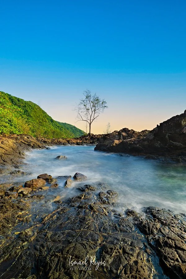 A rocky coastline with a small river flowing into the ocean, a leafless tree in the distance, and a clear blue sky.