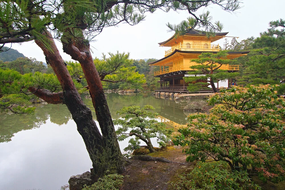 A traditional Japanese golden pagoda-like structure surrounded by lush green trees and shrubs, with a pond reflecting the building.