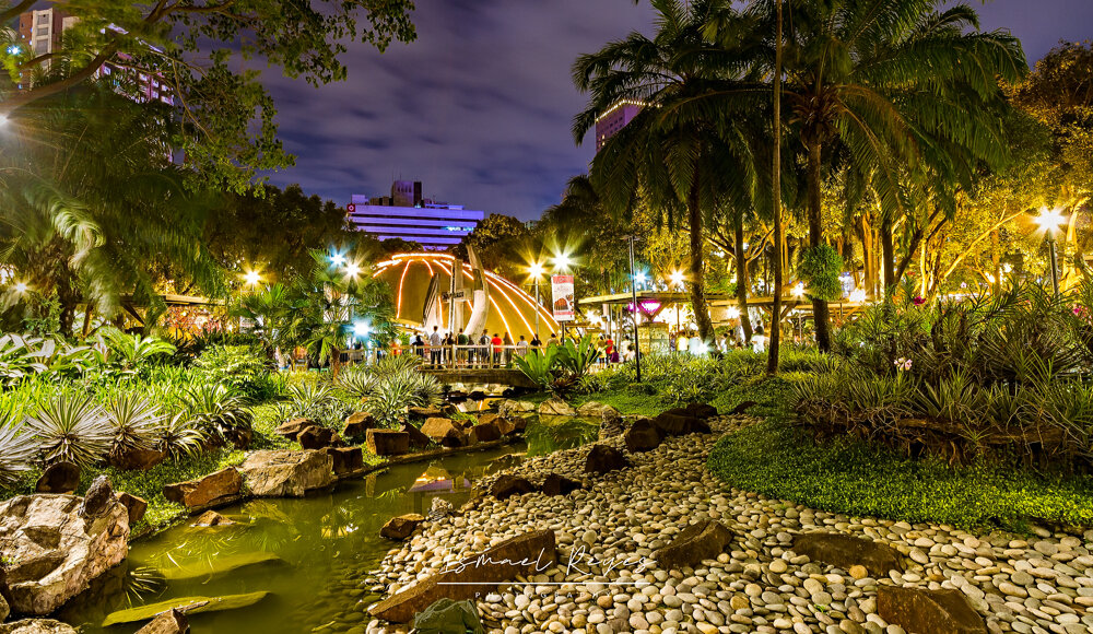 Night scene of a lush urban park with a stream, palm trees, and tropical plants, illuminated by bright streetlights and city buildings in the background.