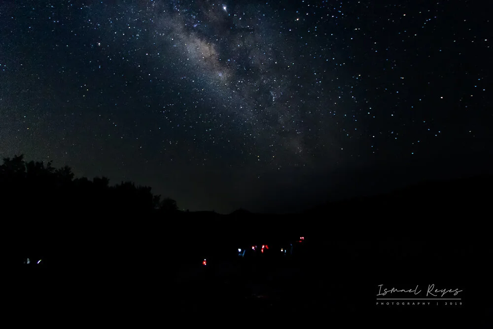 Night sky filled with stars and the Milky Way galaxy, silhouetted trees at the horizon, and several small lights on the ground.