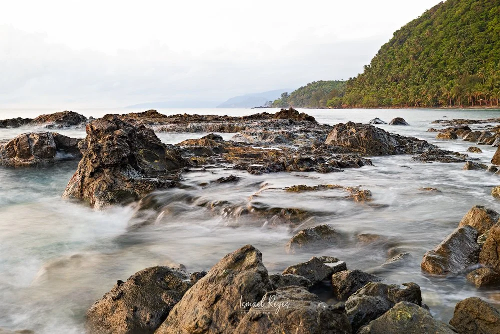 Coastal scene with rocks in the foreground, gentle waves, and a forested hillside in the background.