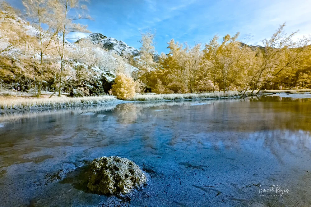 A river flows through a landscape with trees and snow-capped mountains in the background, under a partly cloudy sky.