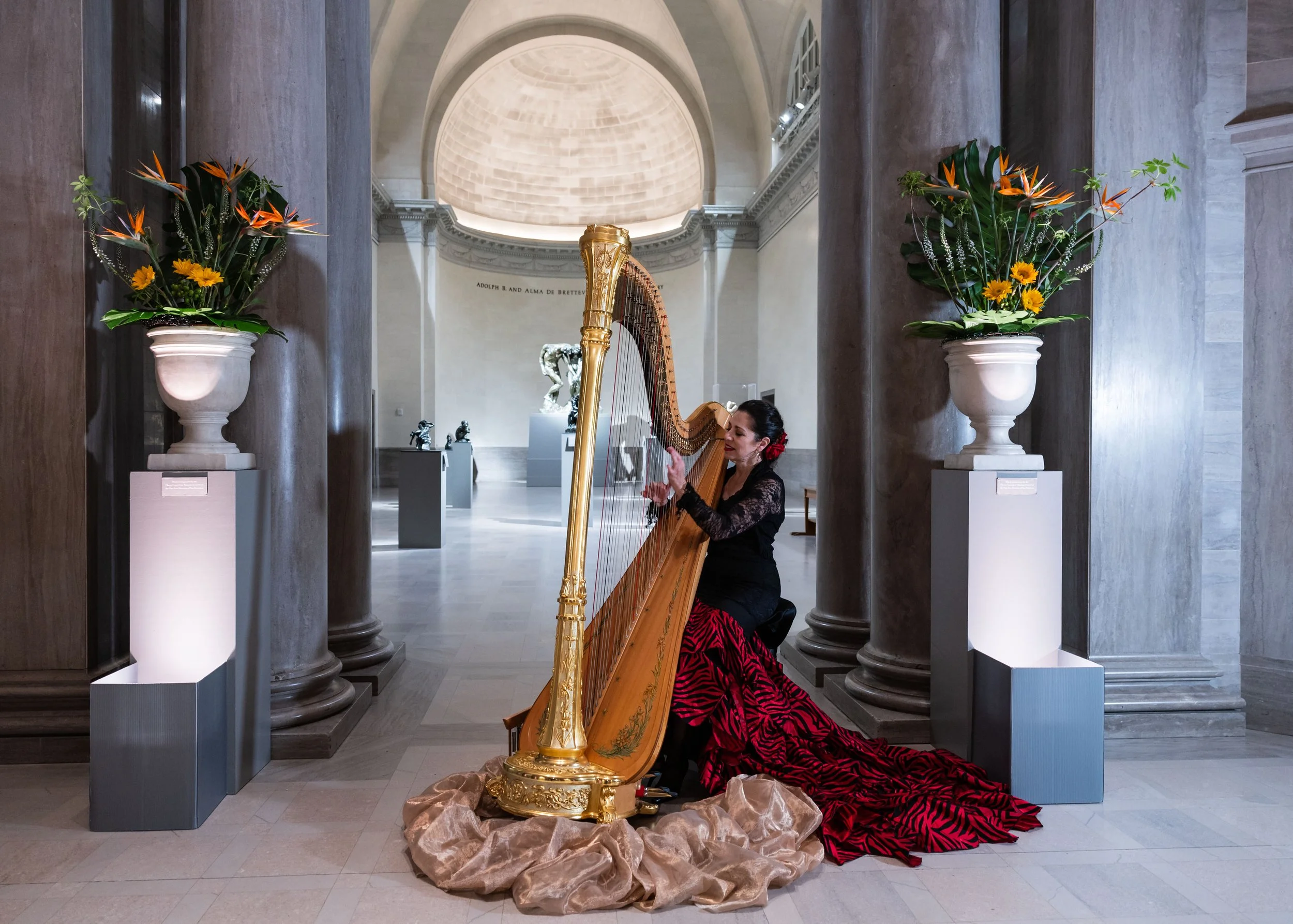 1272-sargent-230208.jpg