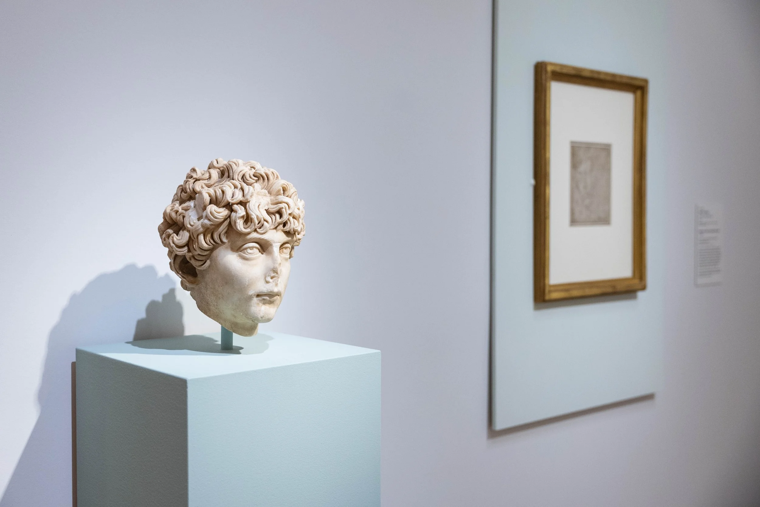 9060-botticelli-231117.jpg