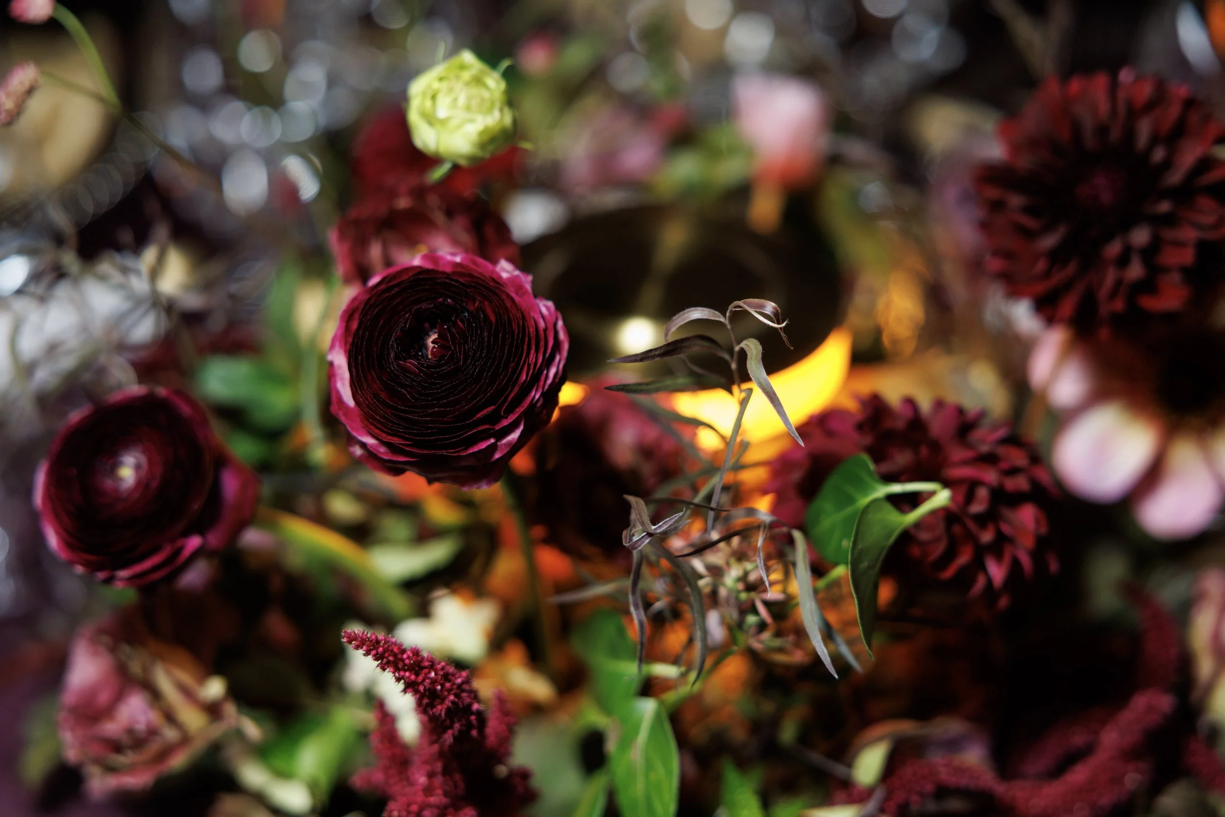 9084-famsfblacktie-260917.jpg