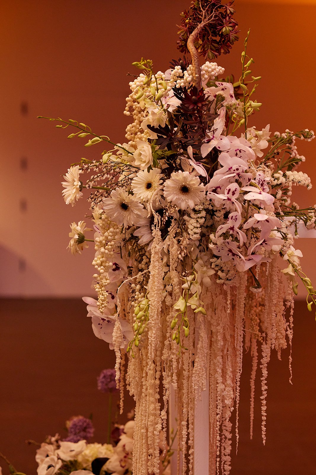 KWDeYoung 001223-03-18.jpg