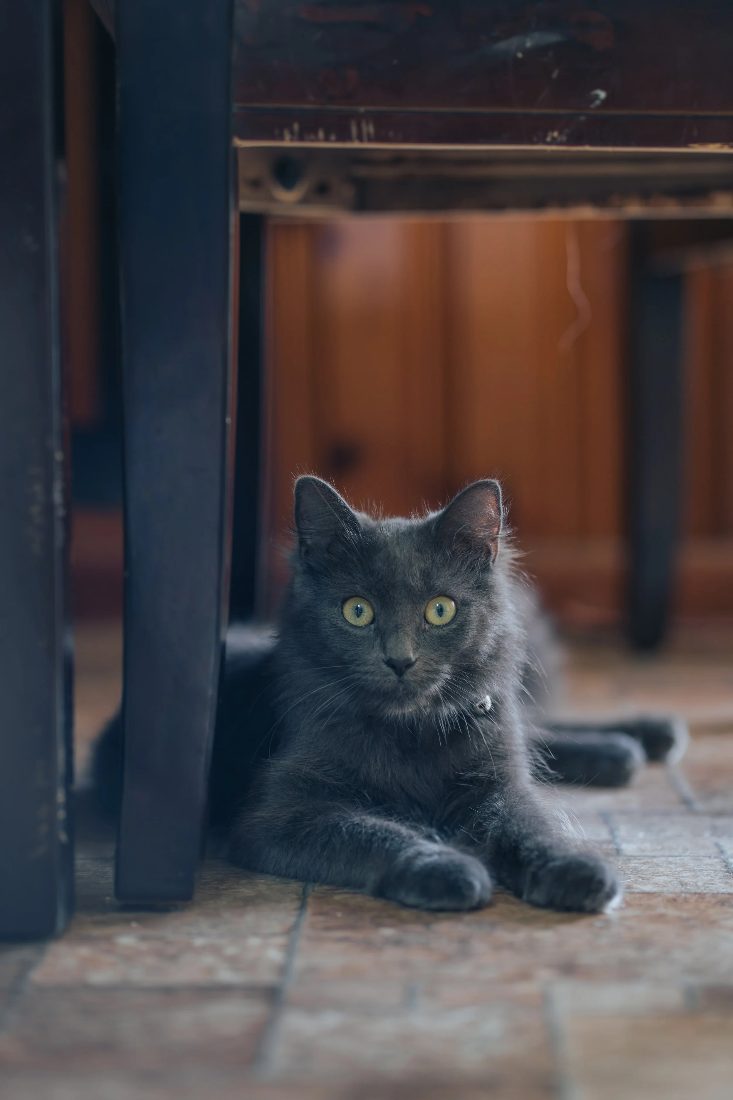 Emma and Michael_New Home-3.jpg