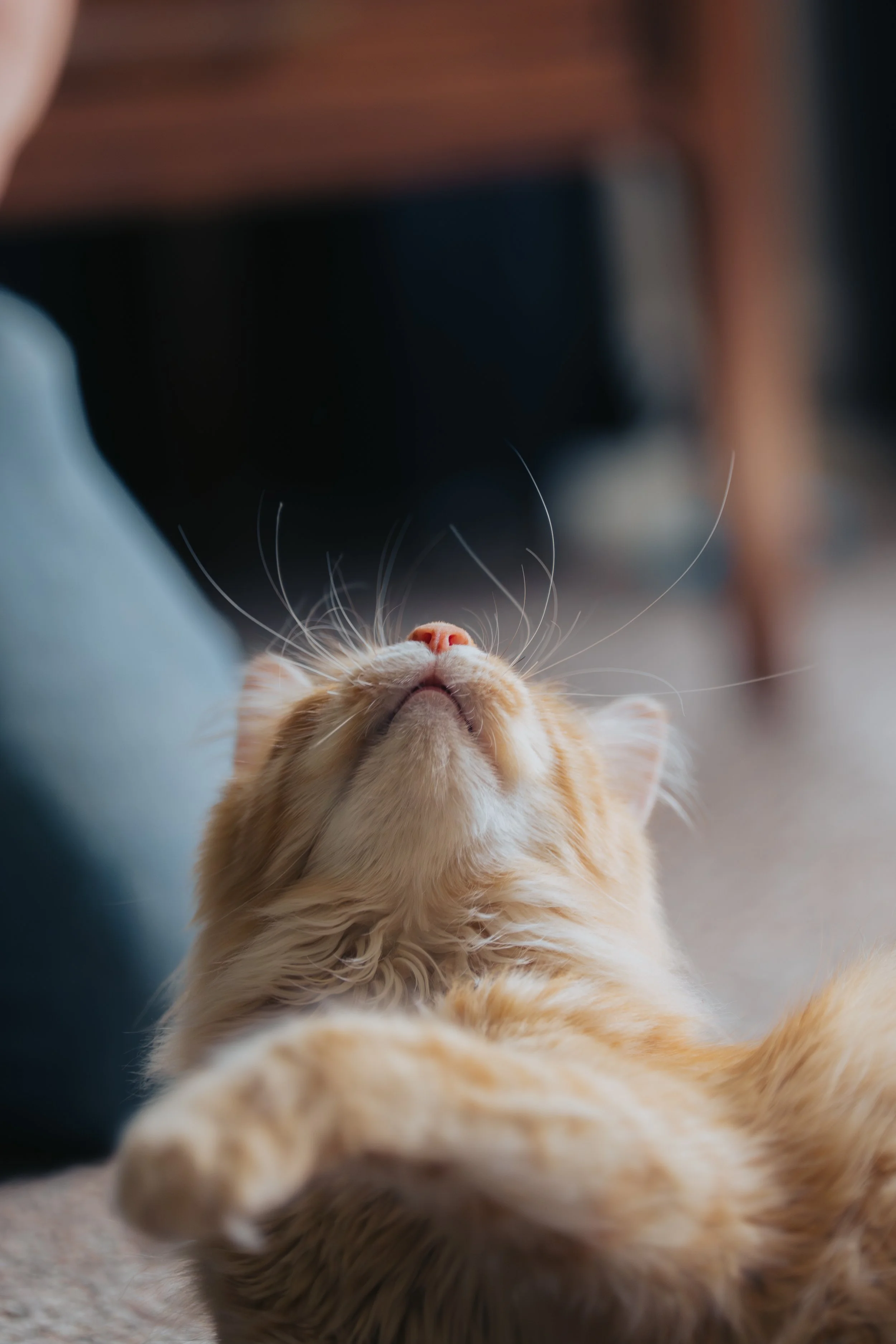 Emma and Michael_New Home-48.jpg