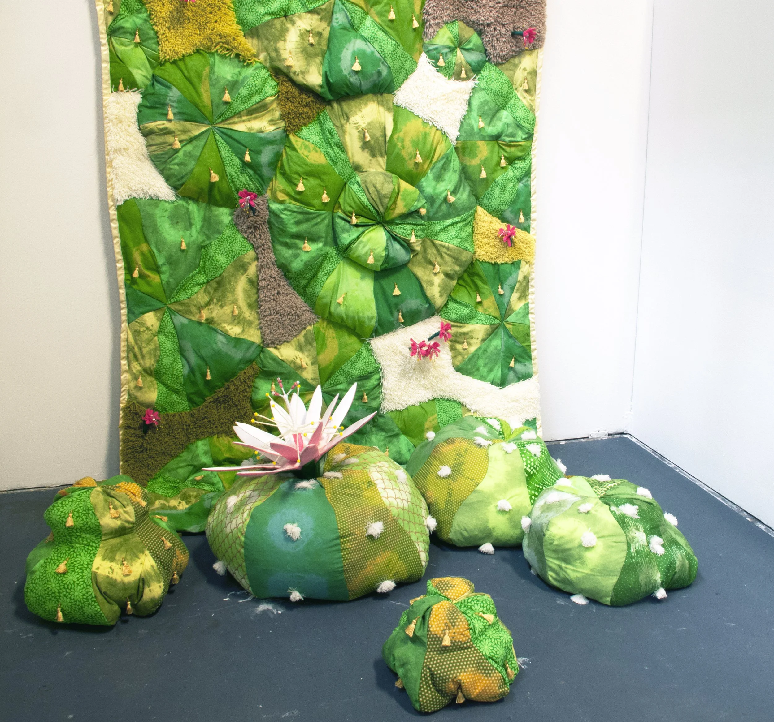 Manta De Cactus and Peyote Cluster 2017.jpg