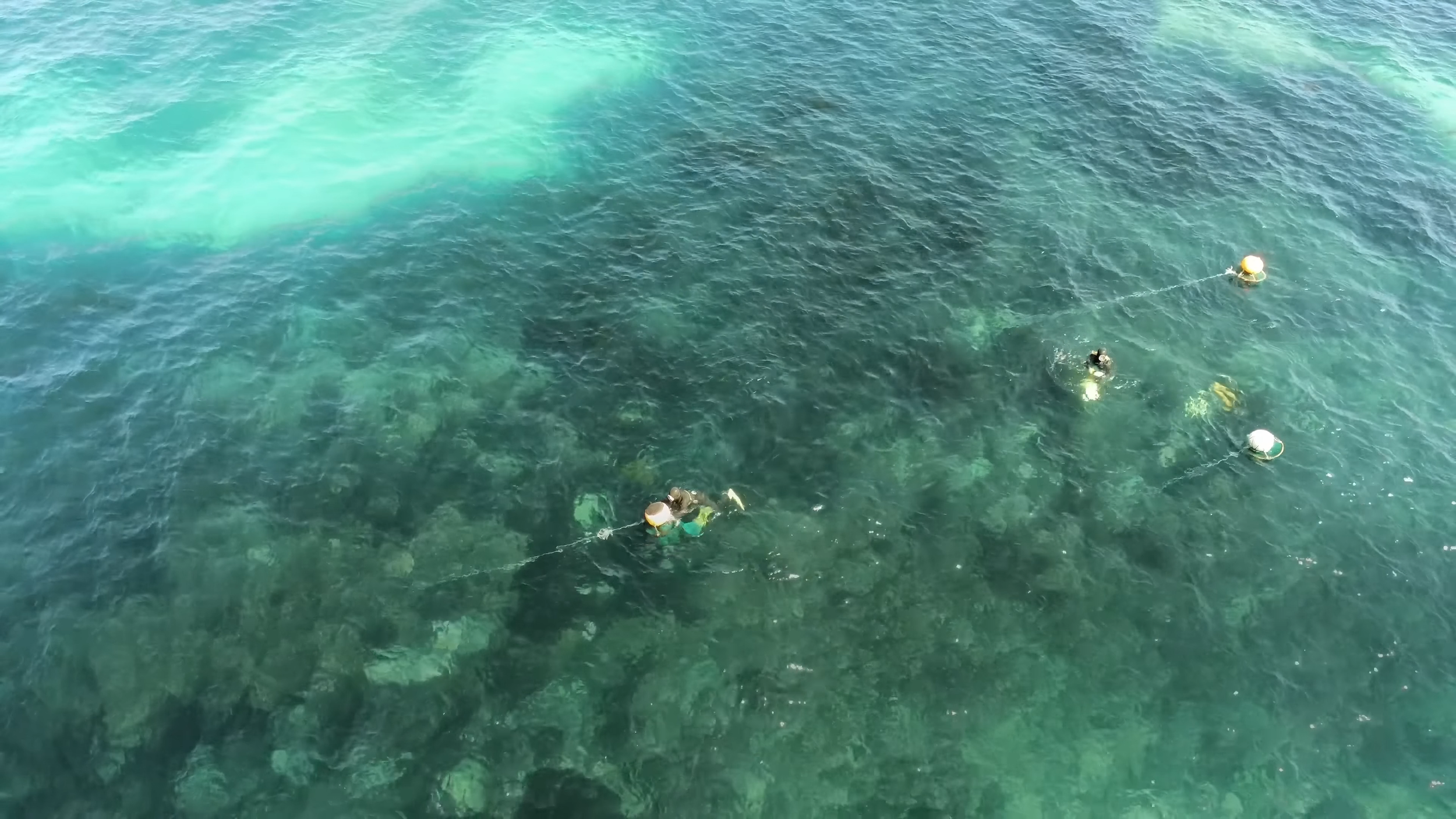 South Korea’s MUST-SEE Island Escape.00_00_48_10.Still015.png