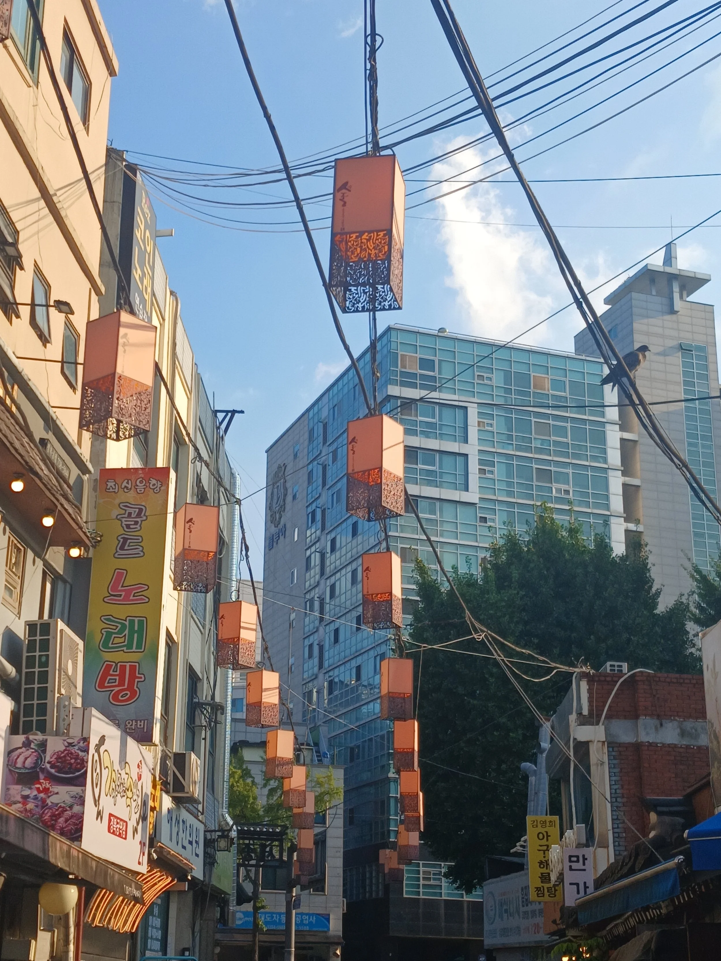 20260806_175541.jpg