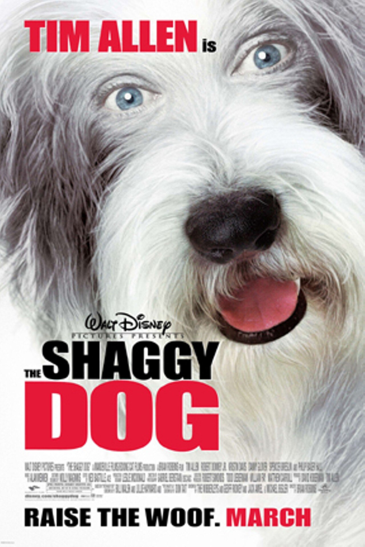 shaggy.jpeg