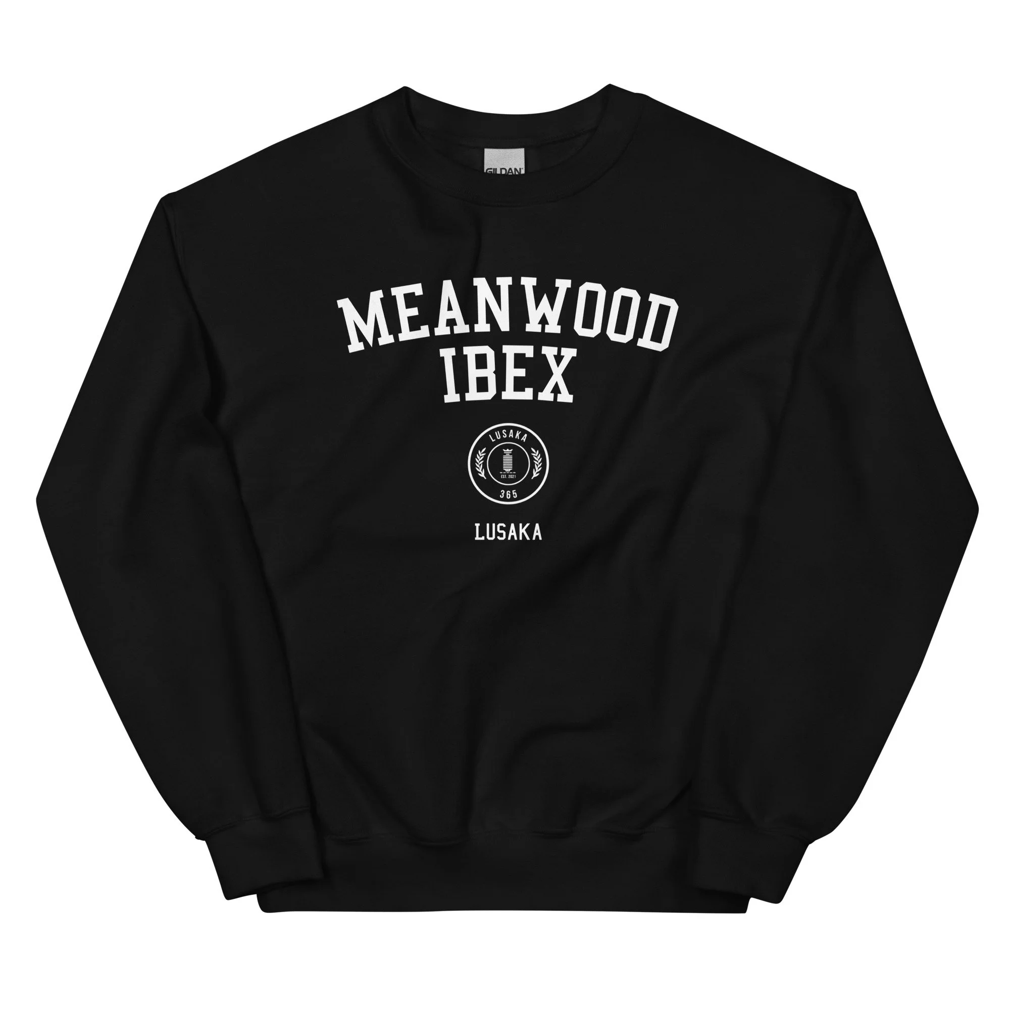 unisex-crew-neck-sweatshirt-black-front-662985b93c3ee.jpg