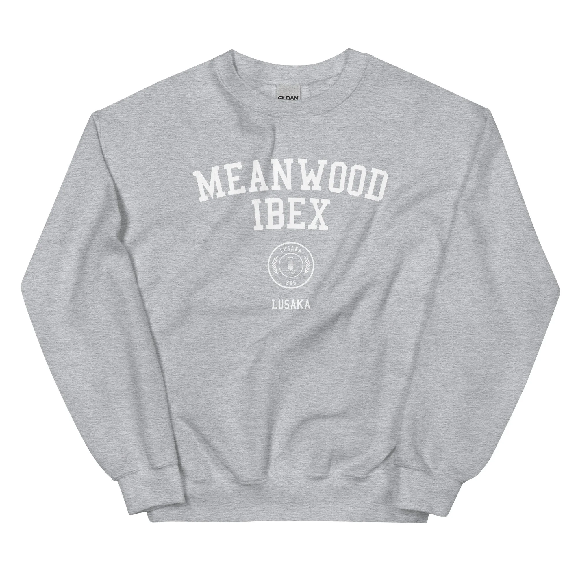 unisex-crew-neck-sweatshirt-sport-grey-front-662985b943f28.jpg