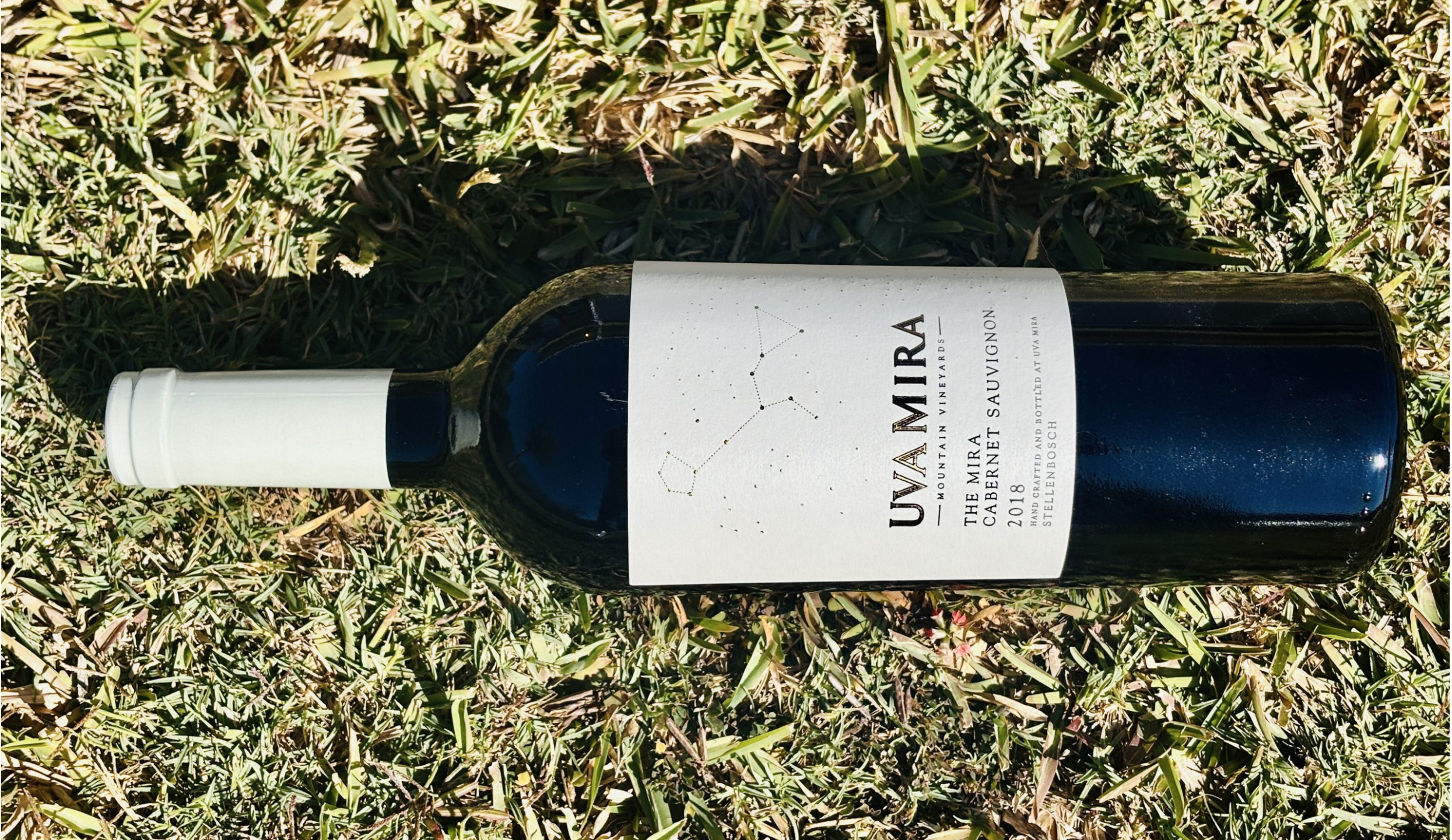 International Cabernet Sauvignon Day at Shardonnay Wine & Gin Bar