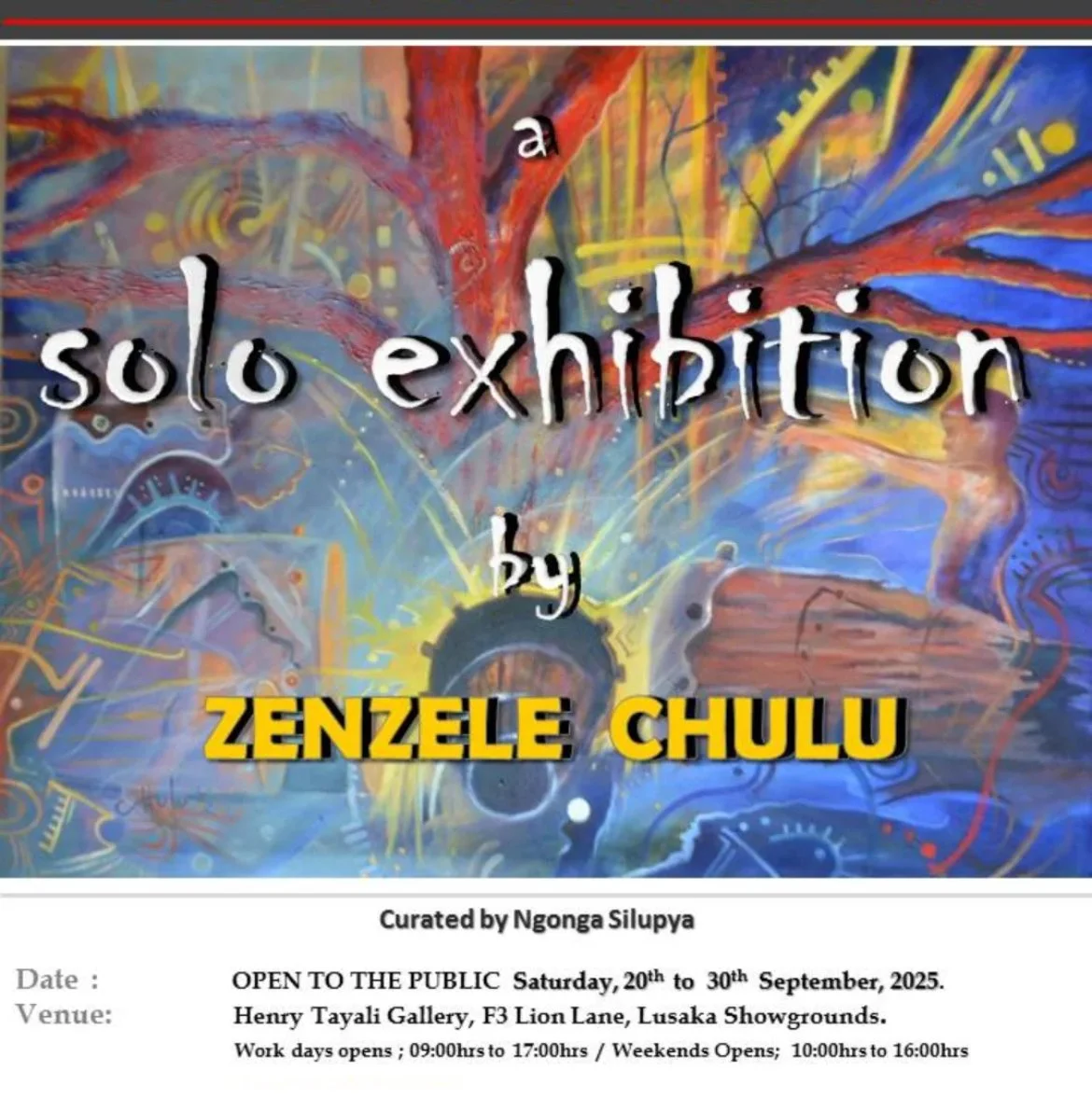 Solo Exhibition by Zenzele Chulu