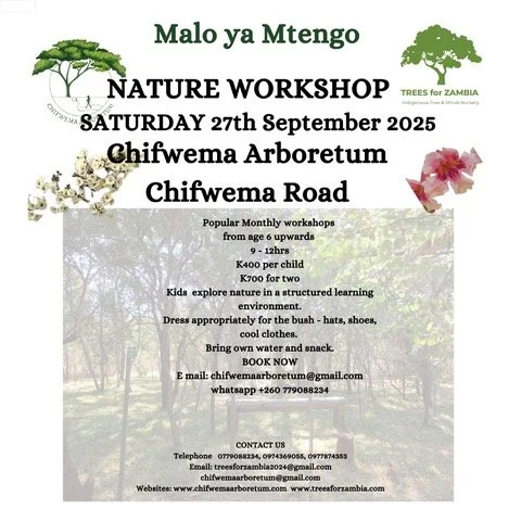 Nature Workshop at Chifwema Arboretum