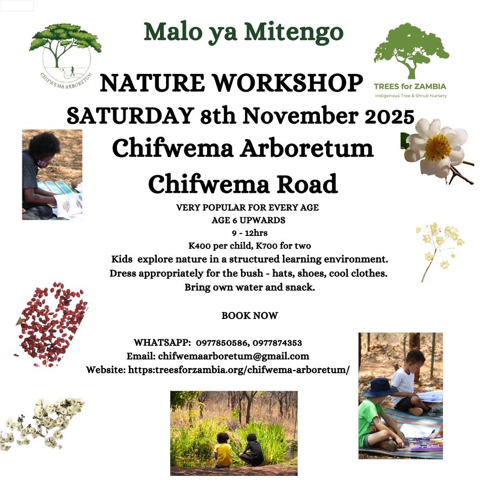 Malo ya Mitengo Nature Workshop - Lusaka Kids Activities