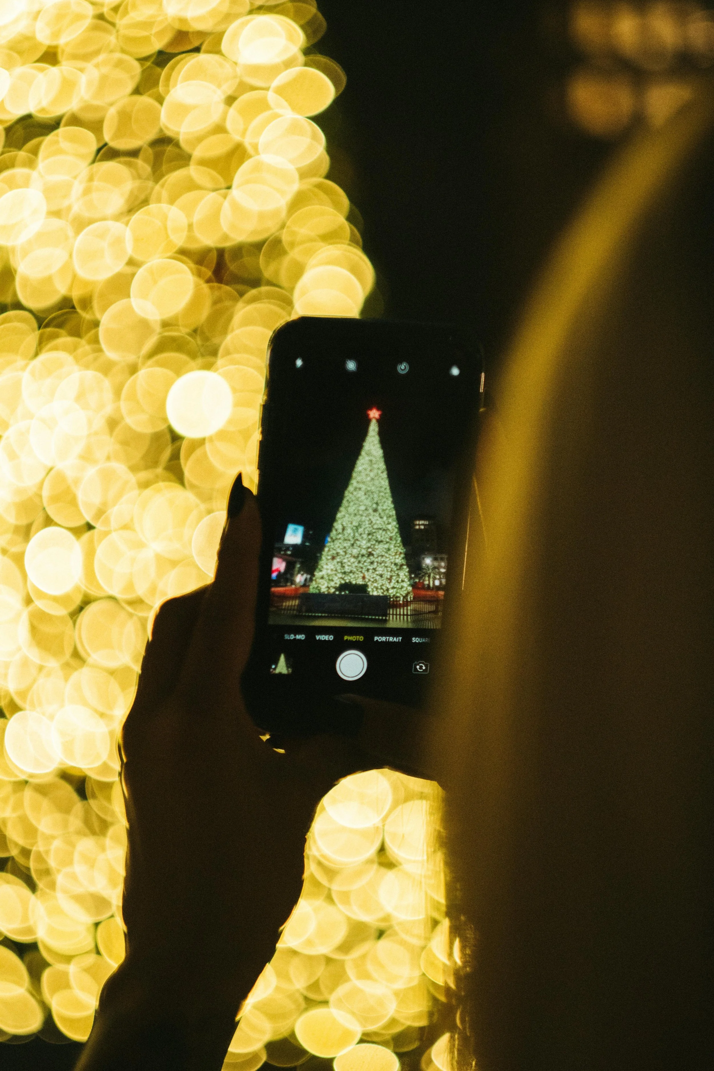 Lusaka Deserves a Proper Christmas Tree Display (And We're Tired of Pretending It Doesn't)