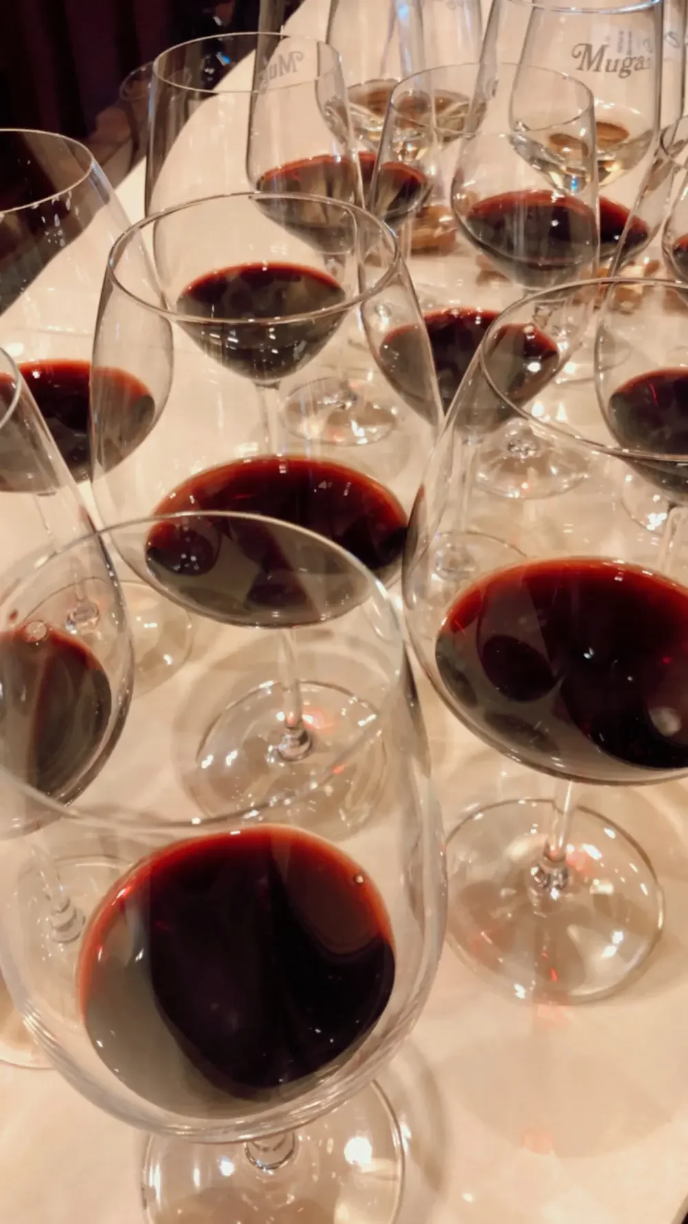 Man Family Wines Tasting at Shardonnay Wine &amp; Gin Bar