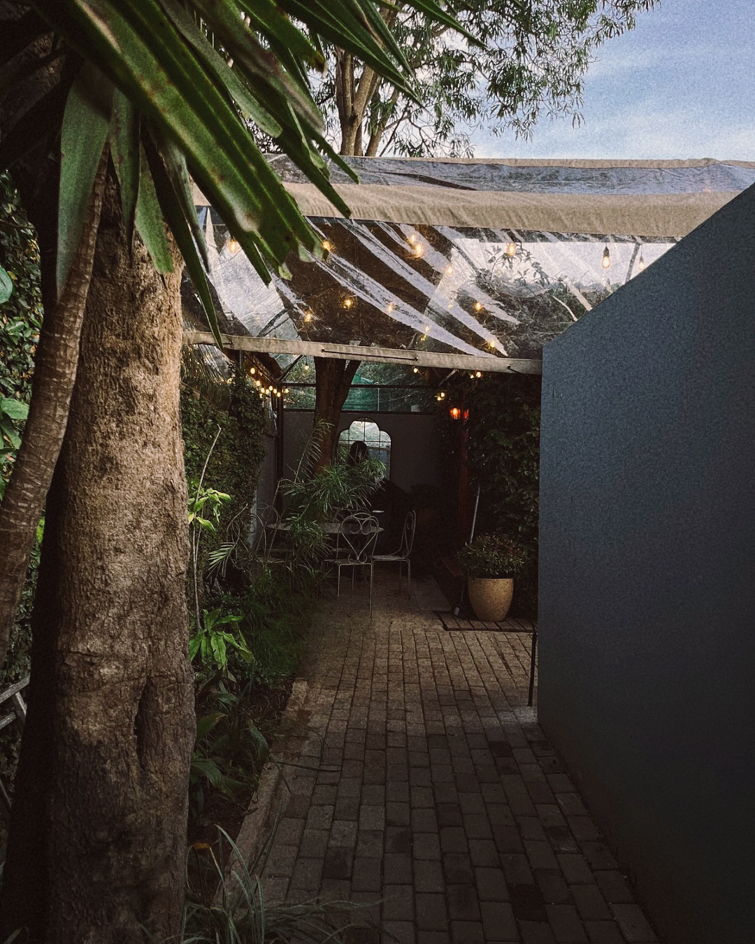 Fairy light-lined walkway leading to Alchemy speakeasy entrance in Lusaka