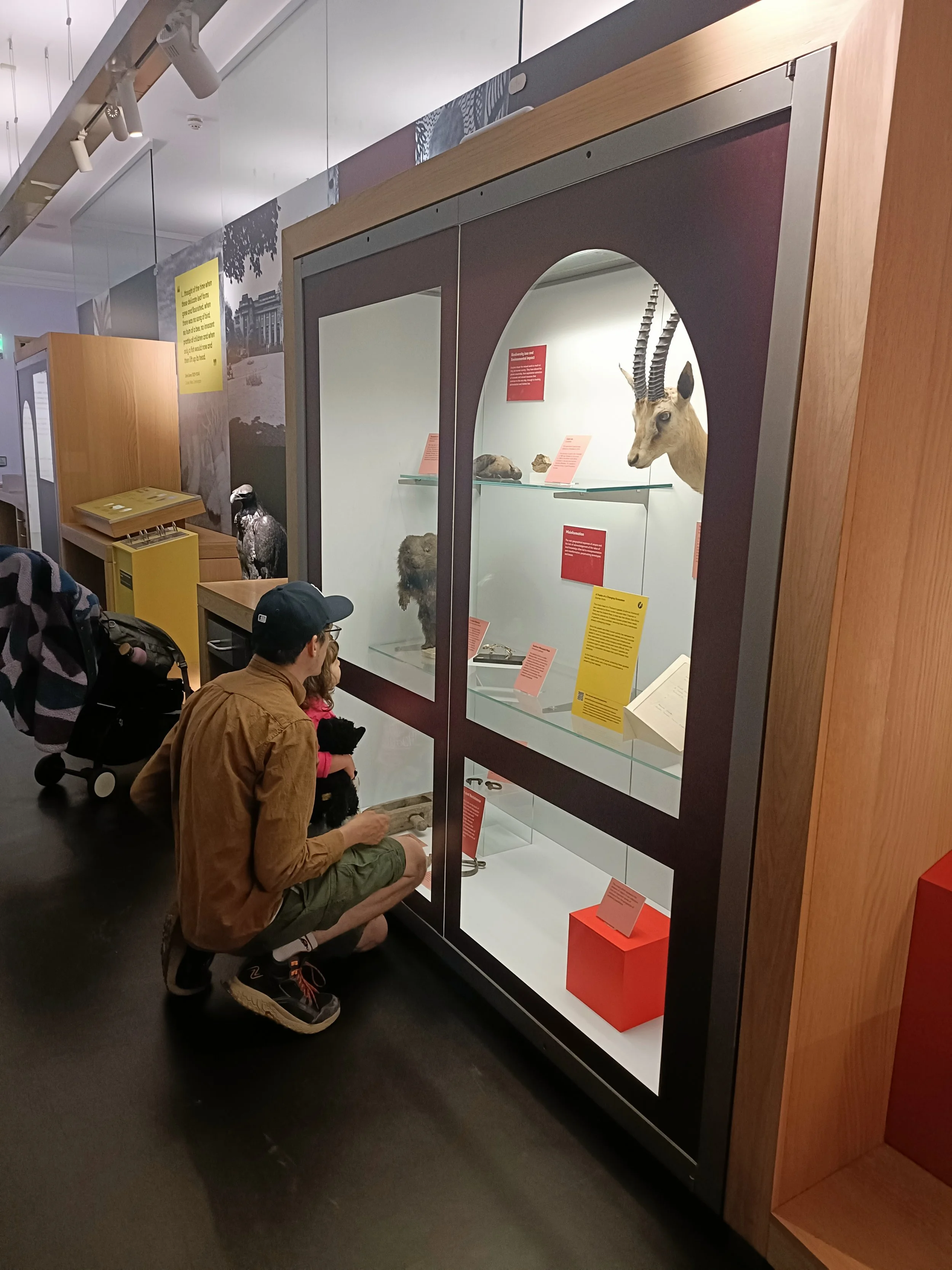 Destroying Nature: A new exhibition trail at the Great North Museum