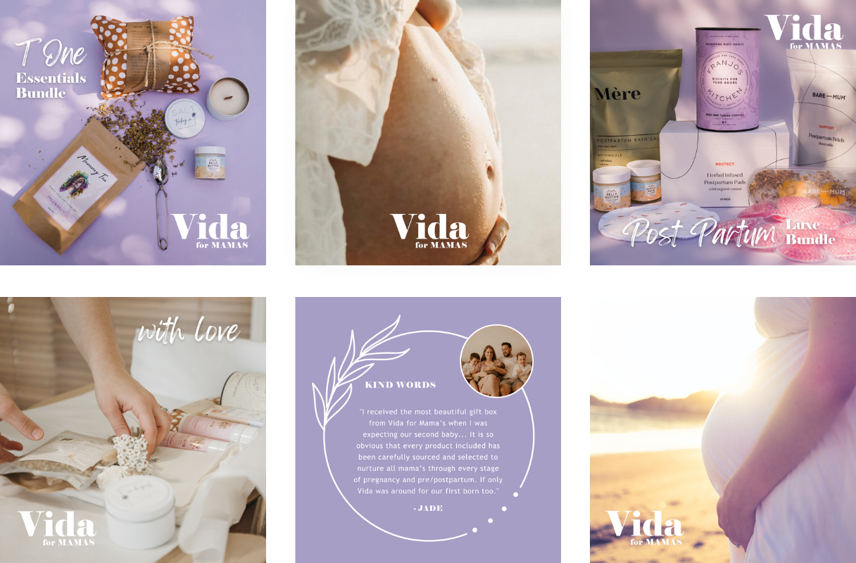 Vida Social Media Grid Example