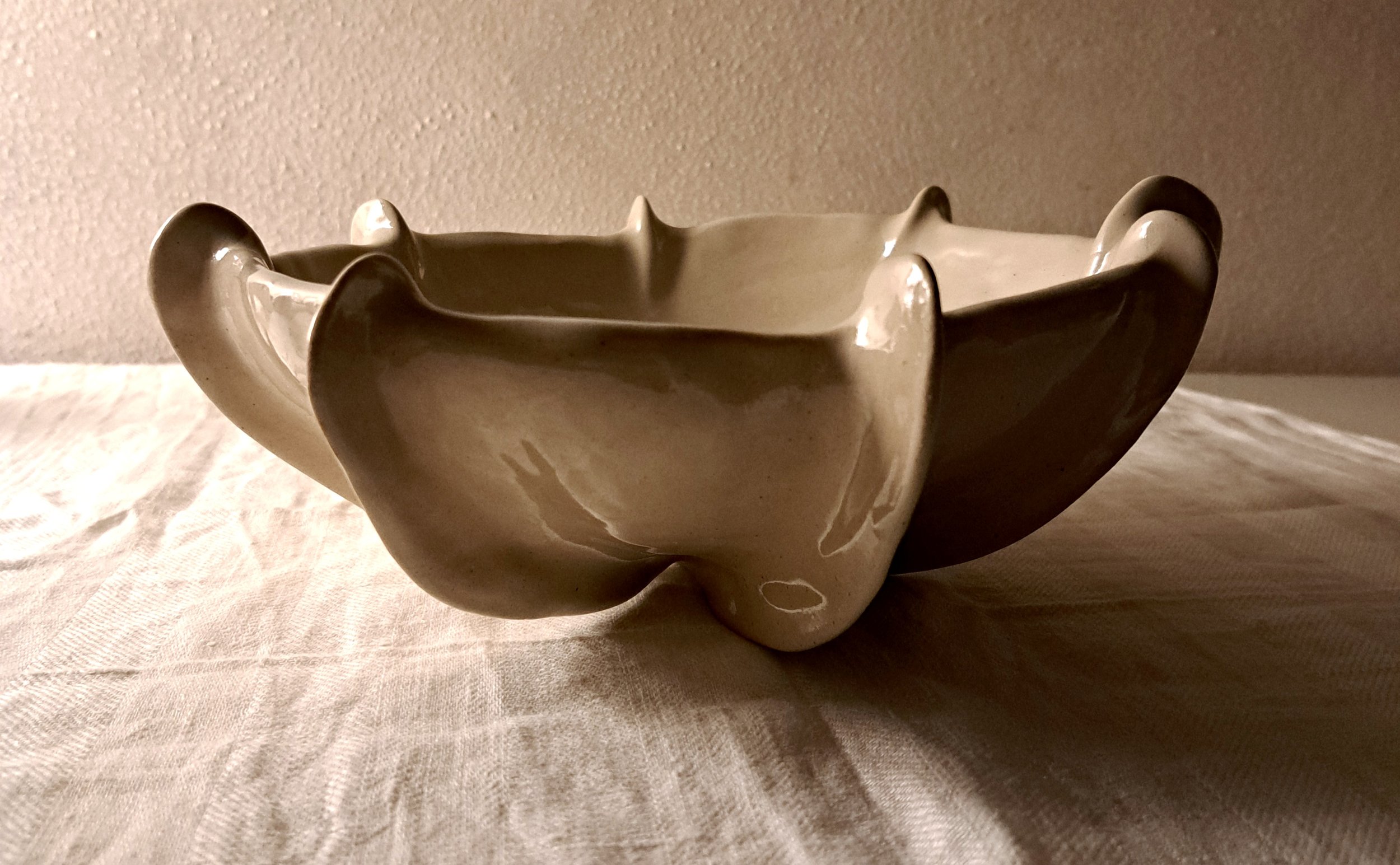 Ciotola di ceramica bianca con decorazioni a forma stella marina