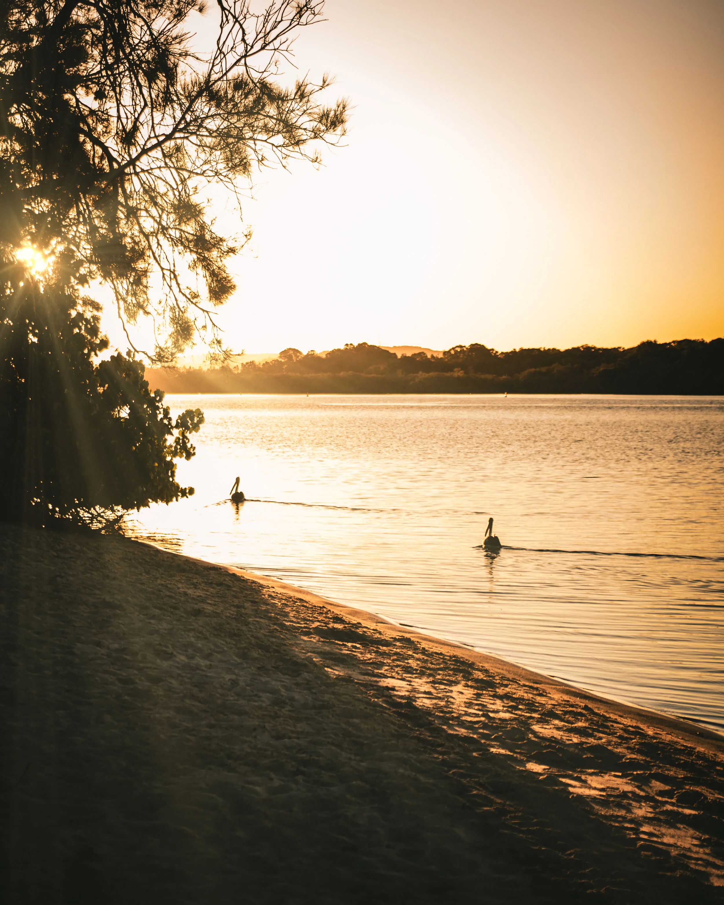 BOBBY & STACEY VISIT 2021-14.jpg