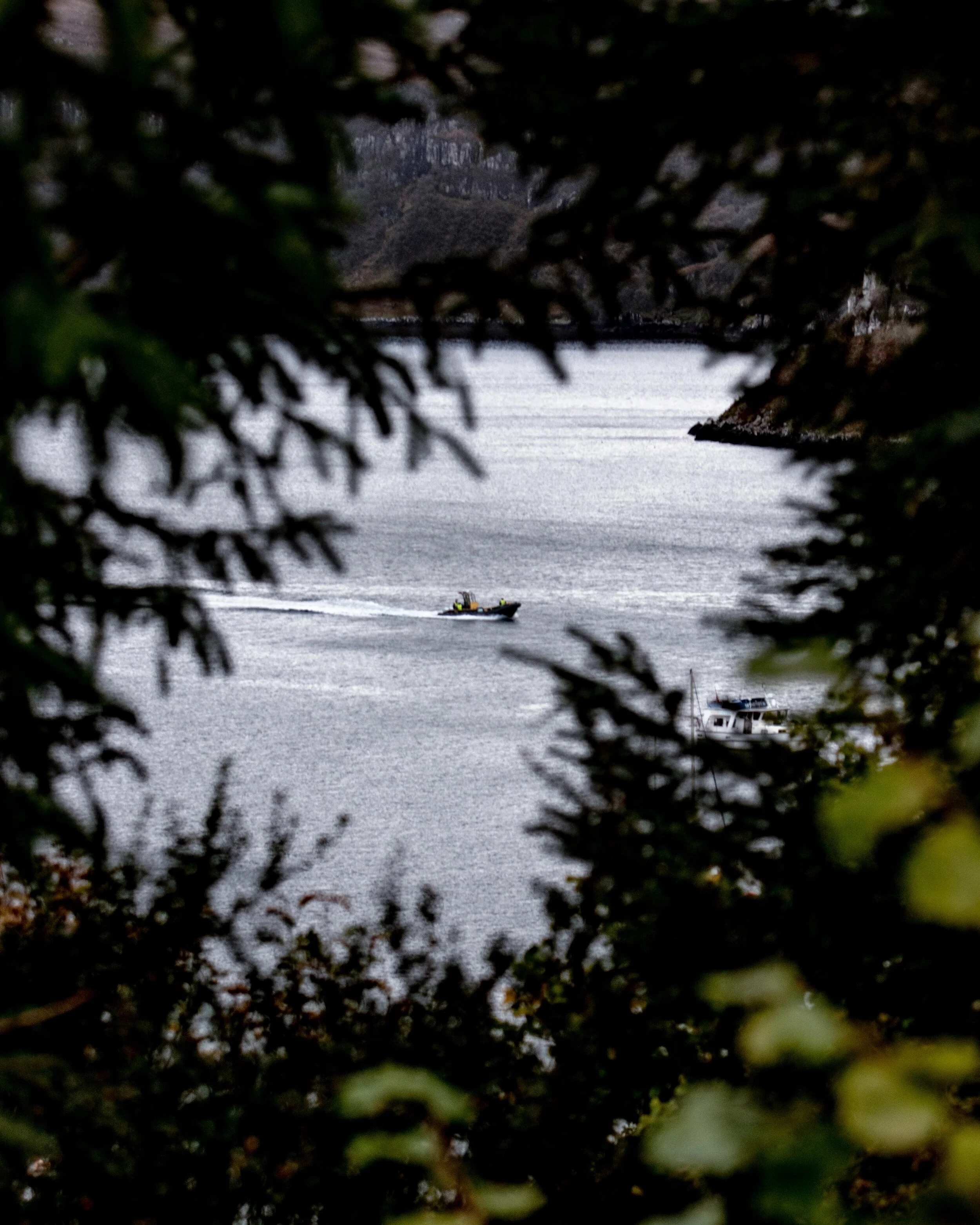 RAINY WALK WITH BRUCE-15.jpg