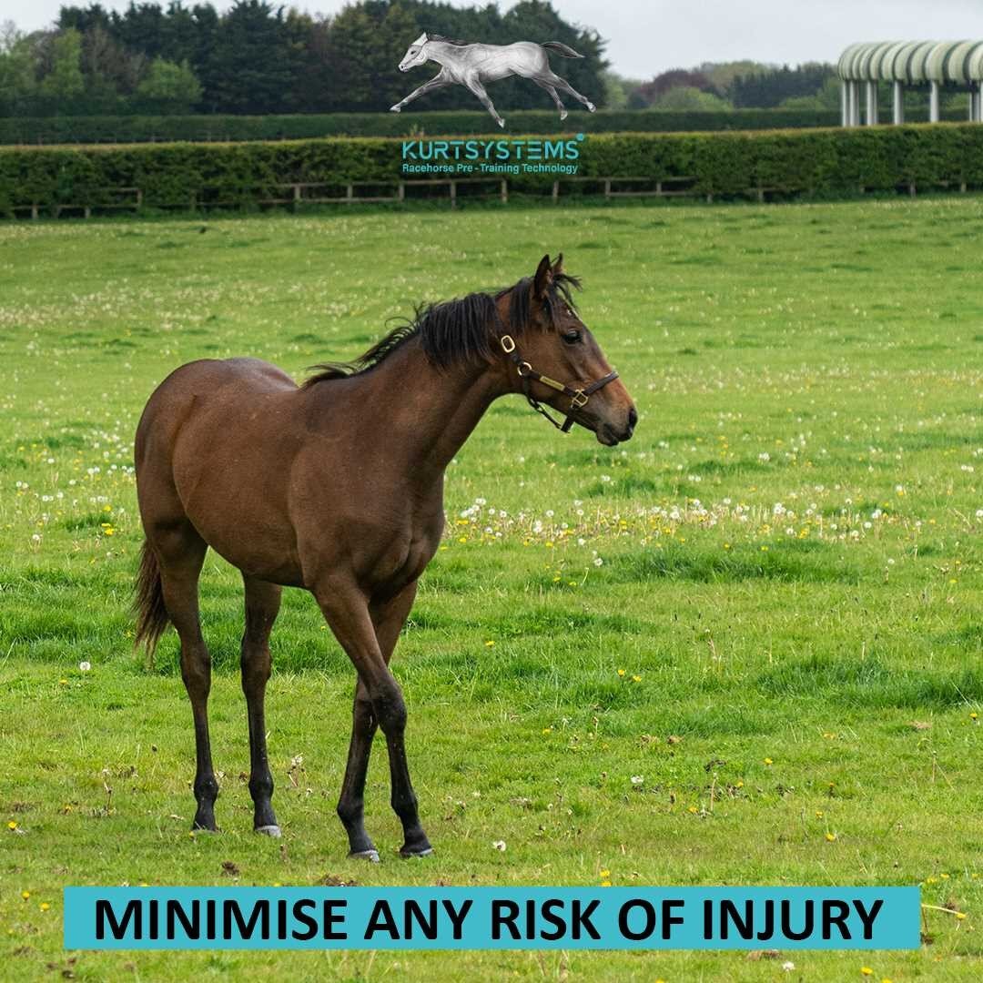 Minimise the risk of injury with Kurtsystems.
-------
Long and comprehensive trials have shown that the Kurtsystems pre-training exercise programme has helped the young horses metabolism, skills and muscle development. 

In addition, the six-month ex