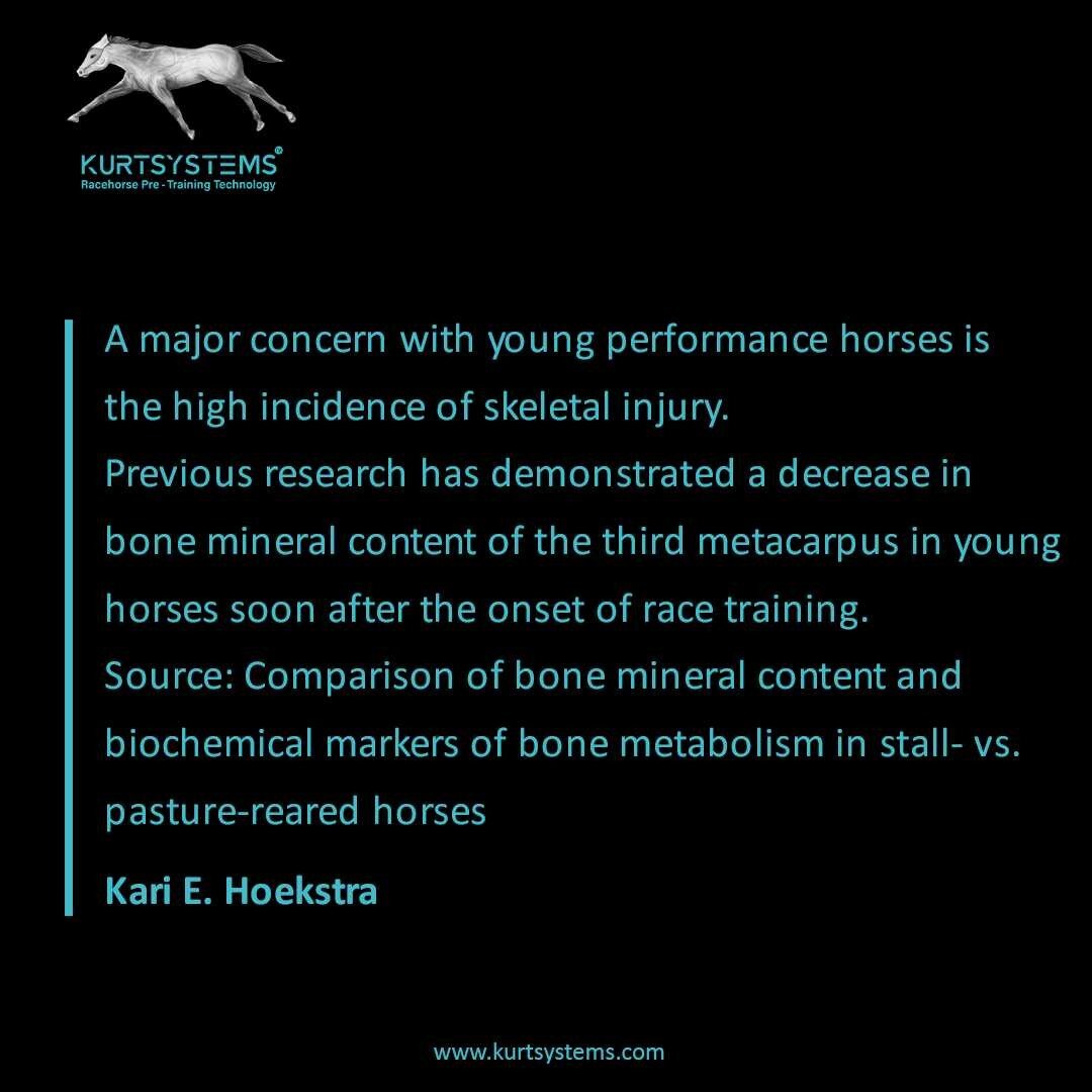 Concomitant with the onset of training, young horses experience a significant management change in that they become primarily confined to stalls. 
The practice of transferring young, growing
horses from pasture to stalls before yearling sales or comm