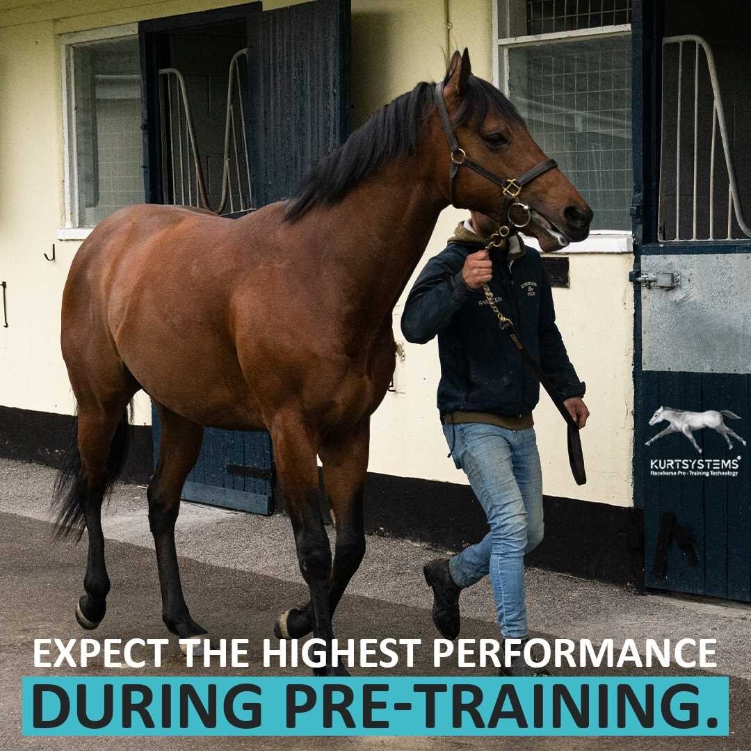 Kurtsystems introduces young horses to a pre-training programme without the threat of human error.🐎🐎
-------
Horse owners, trainers and breeders naturally expect the highest performance from their horses.
The best can only be achieved through Kurts