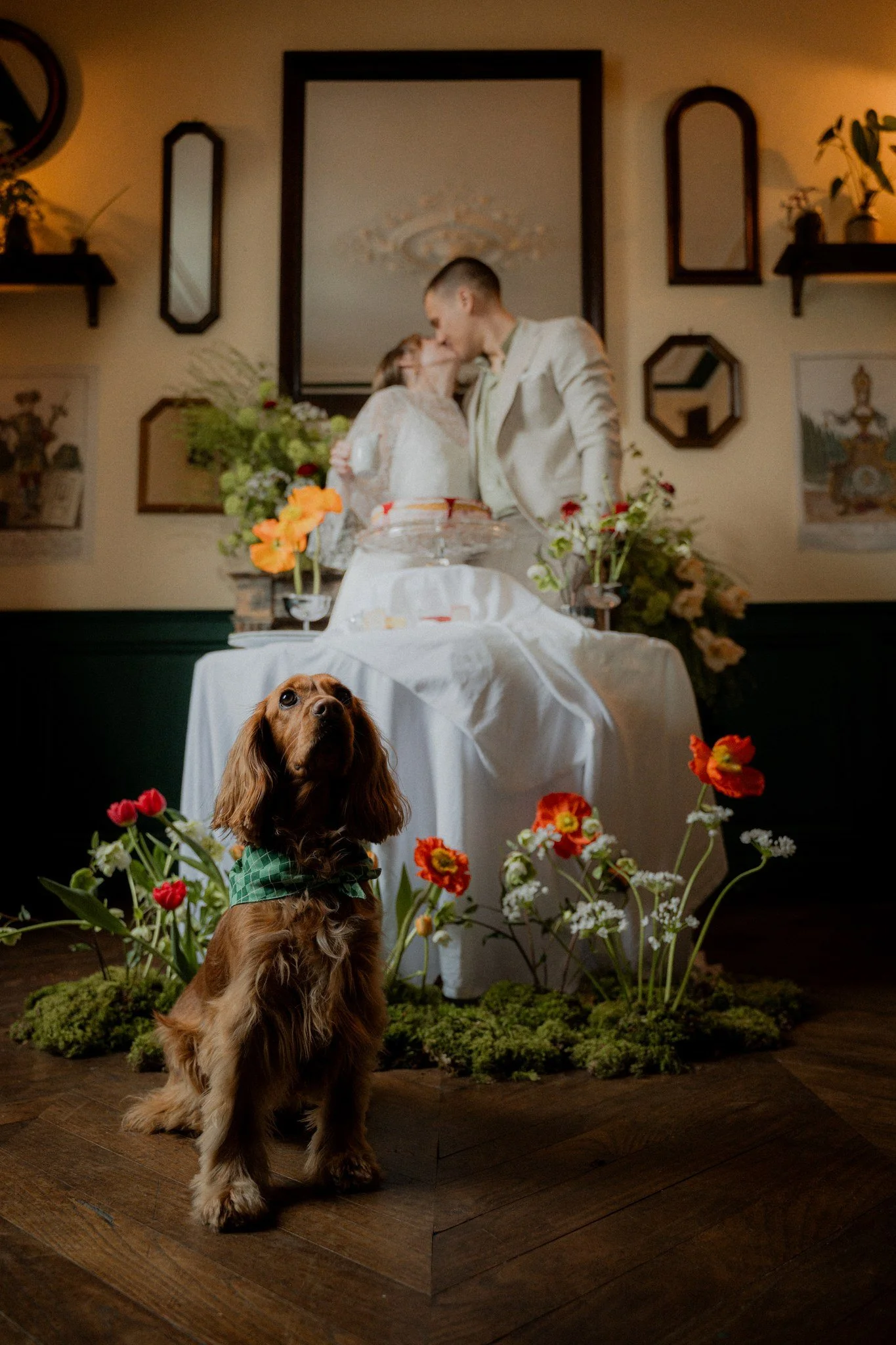 chien mariage