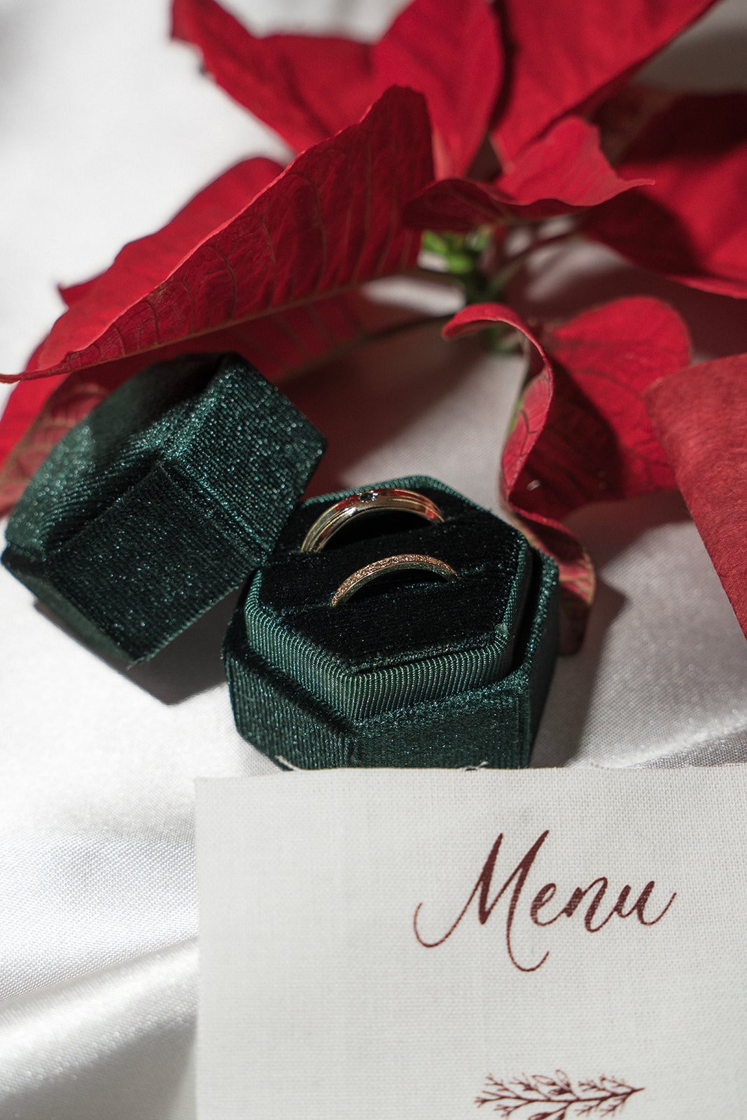 CHRISTMAS SHOOT-3_websize.jpg