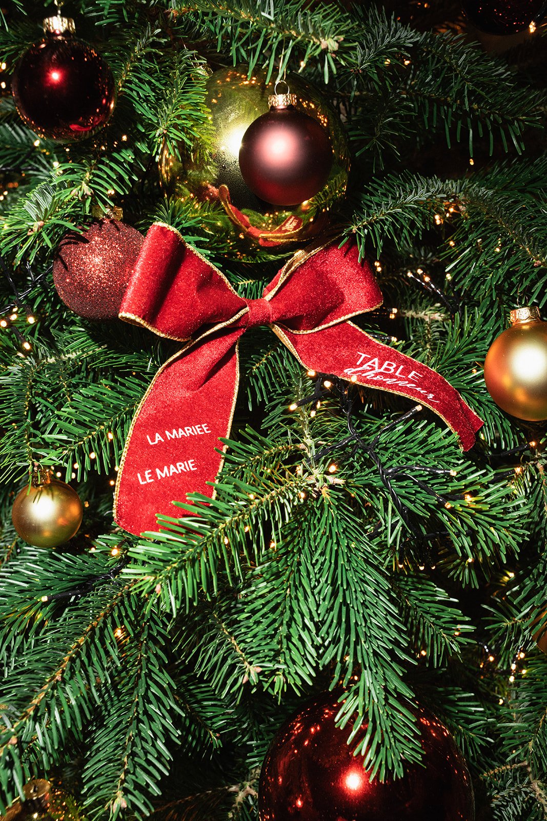 CHRISTMAS SHOOT-43_websize.jpg