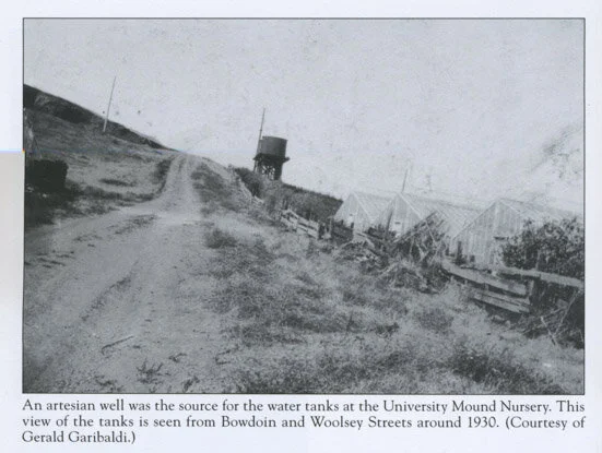 Water Tanks and Hamilton006_edit1.jpg